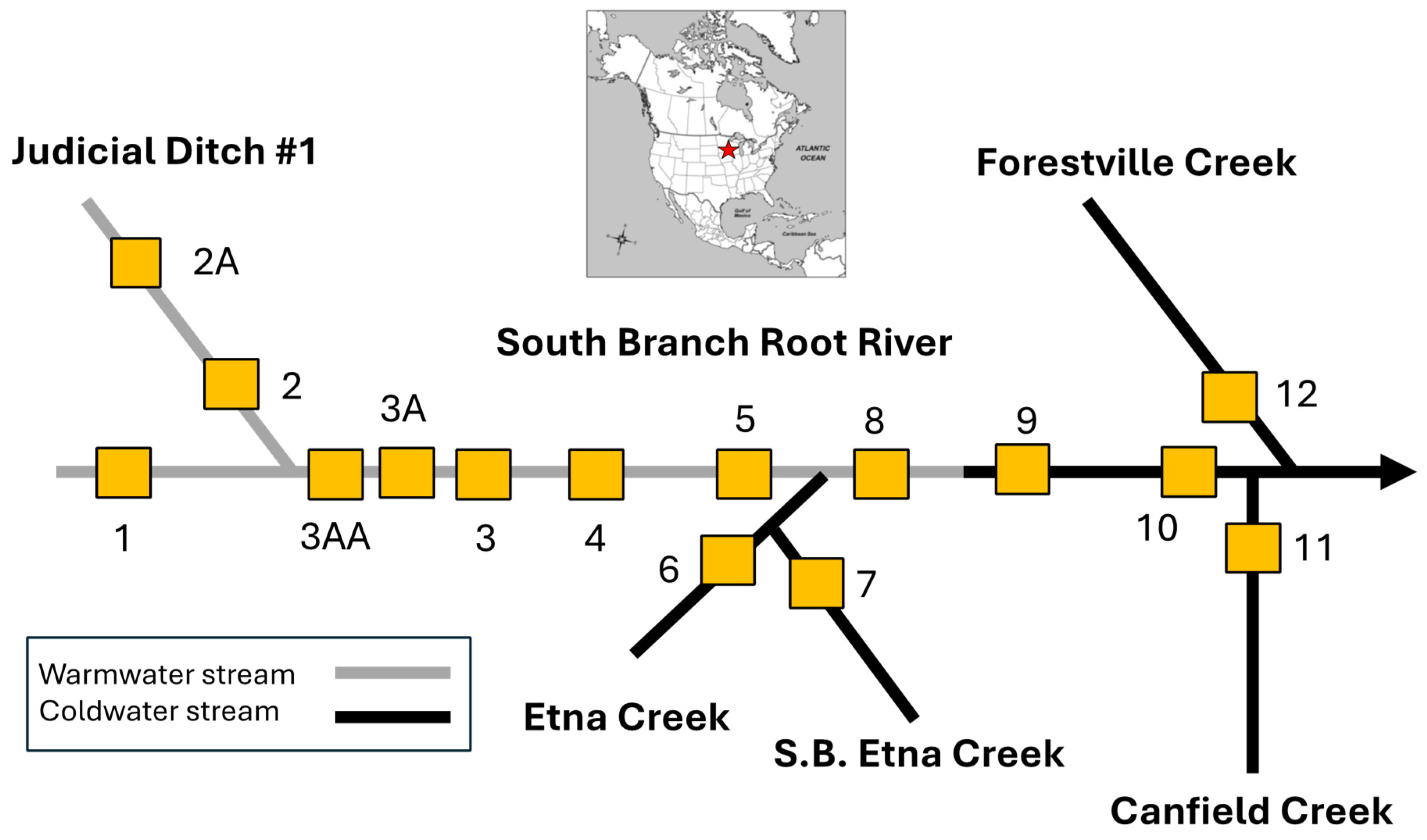 Insects 16 00059 g001