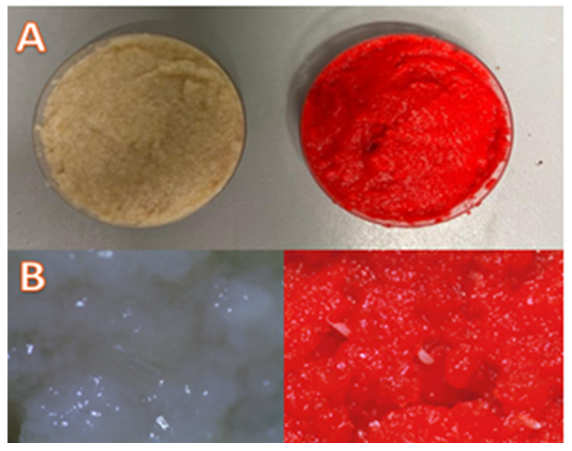 Insects 16 00060 g001