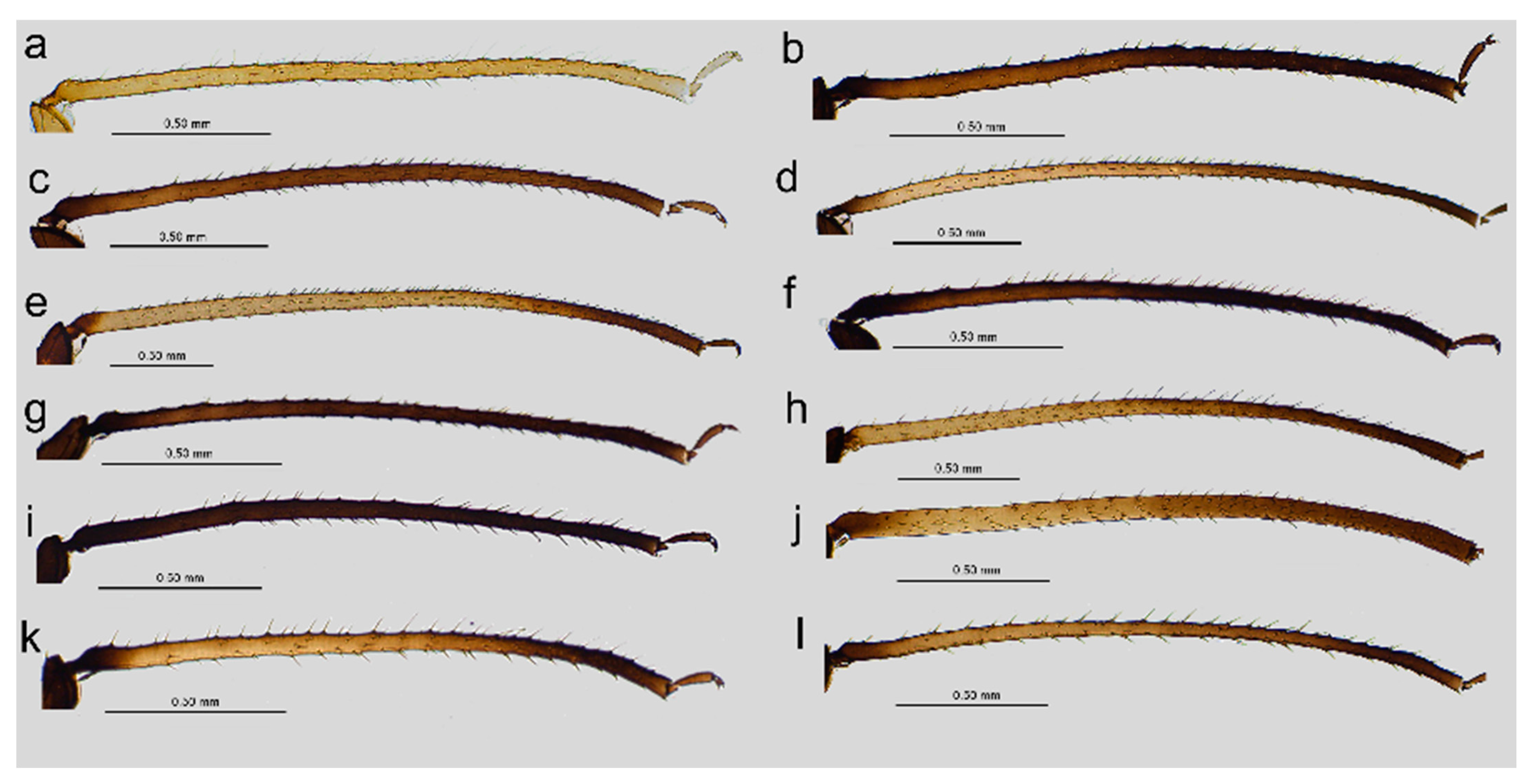 Insects 16 00068 g002