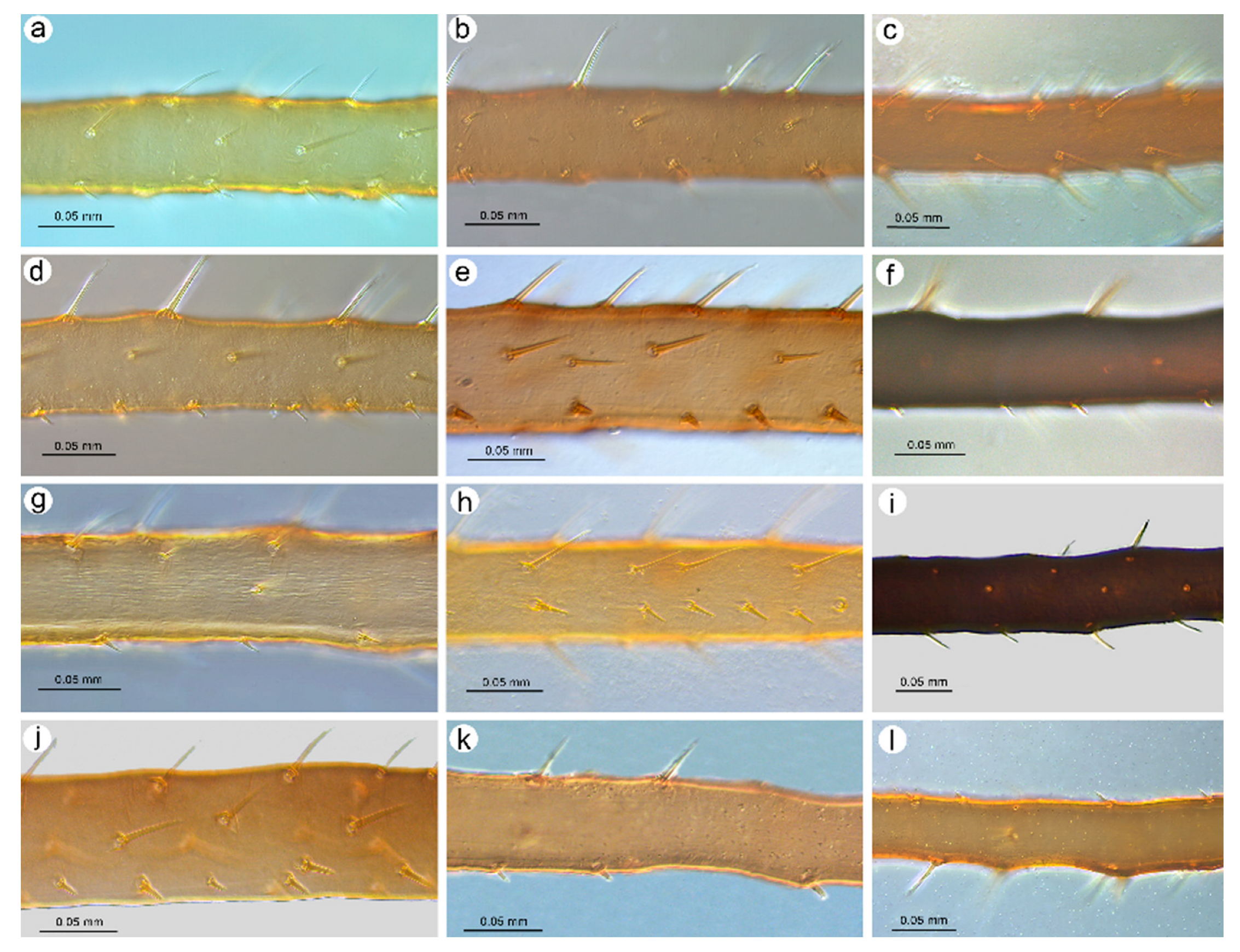 Insects 16 00068 g003