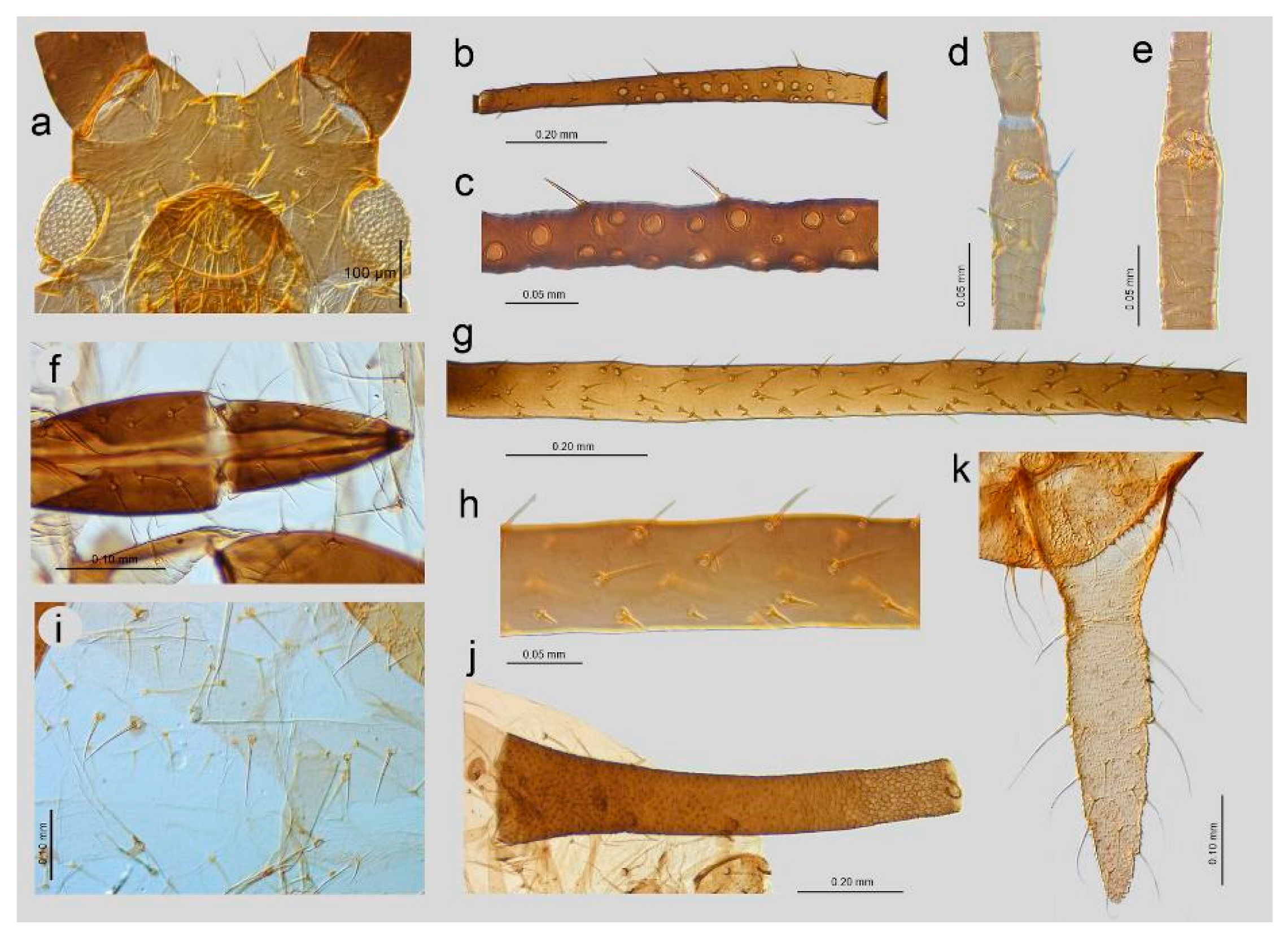 Insects 16 00068 g006