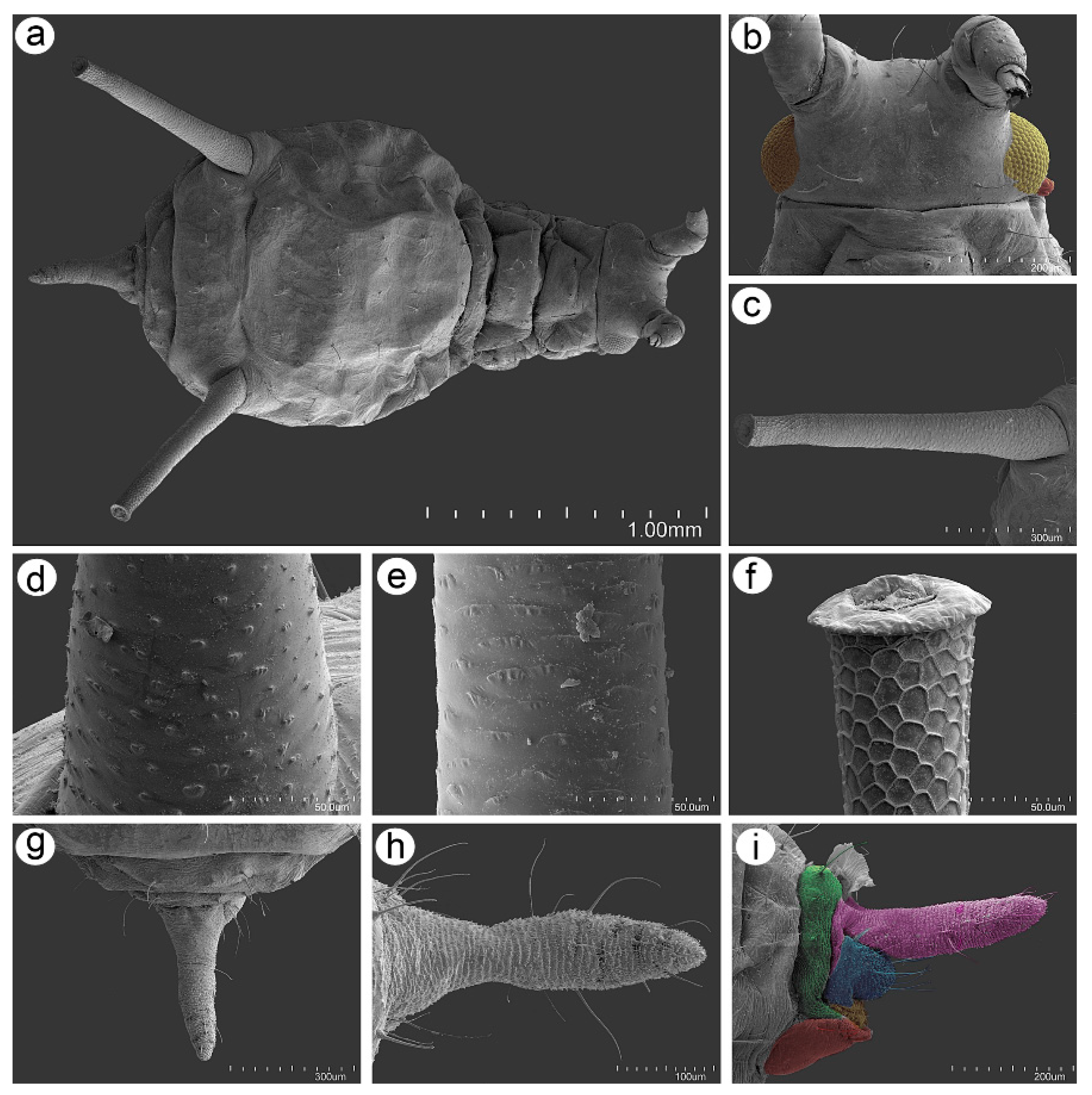 Insects 16 00068 g008