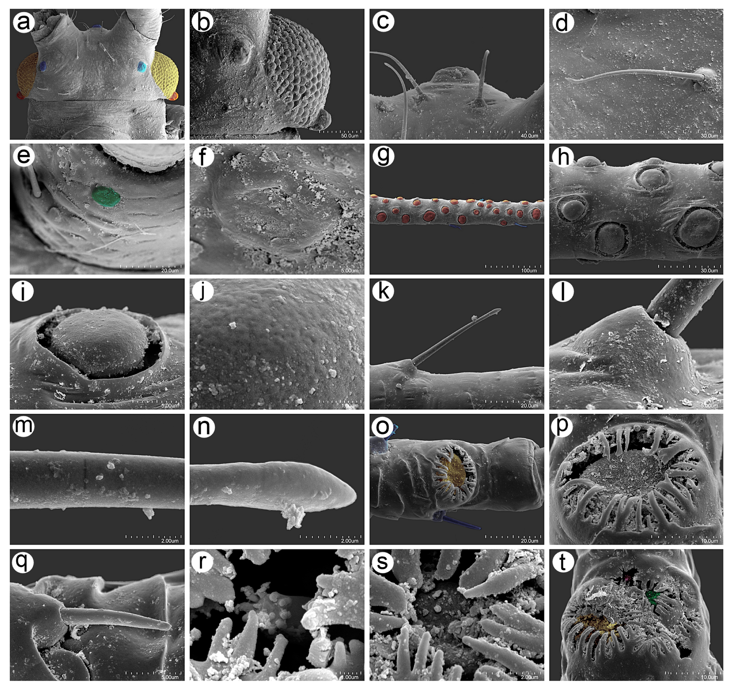 Insects 16 00068 g010