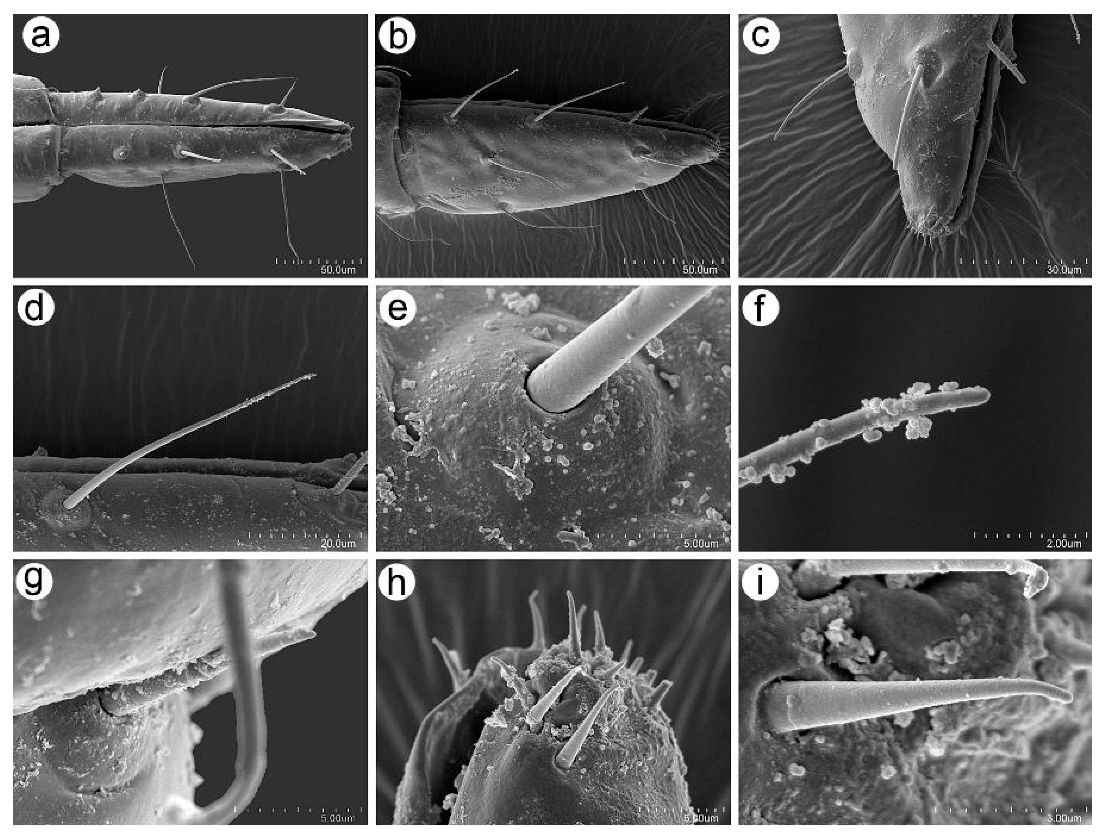 Insects 16 00068 g011