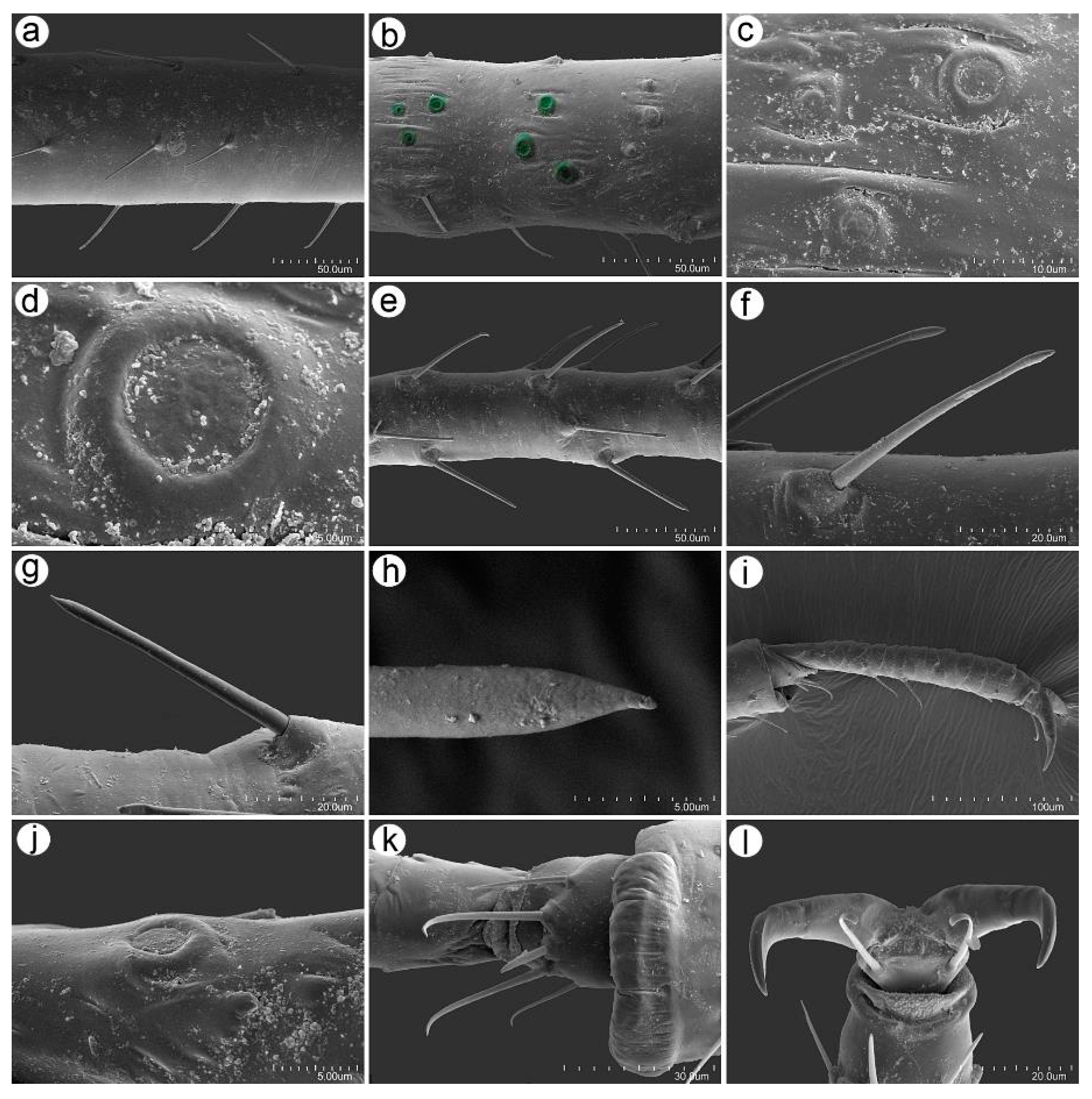 Insects 16 00068 g013