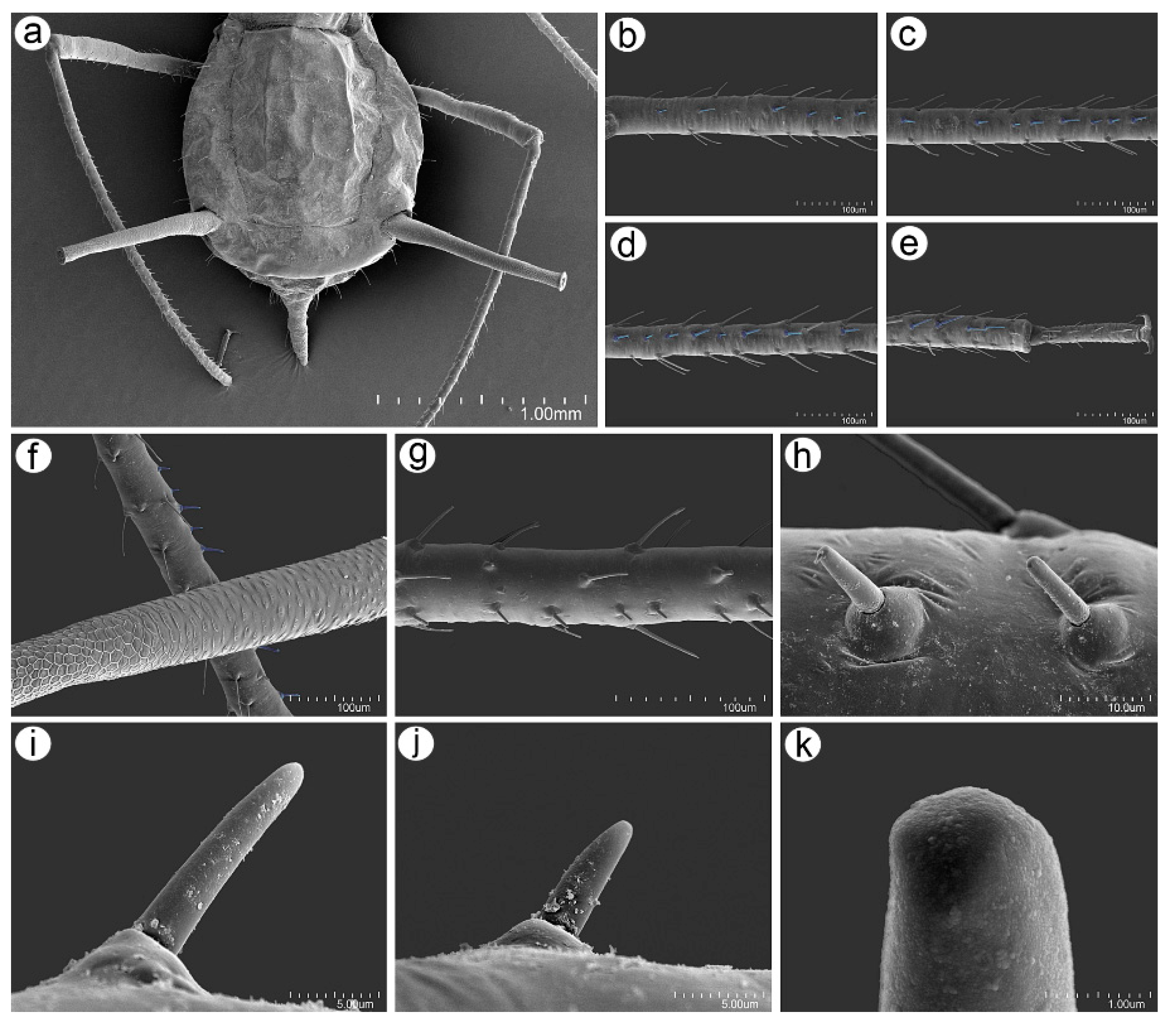 Insects 16 00068 g014