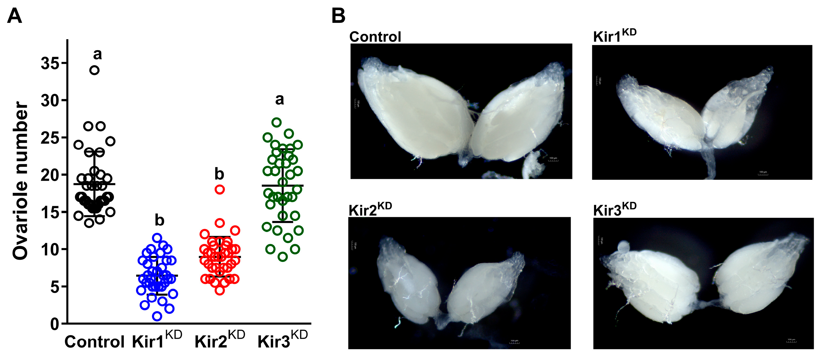 Insects 16 00069 g005
