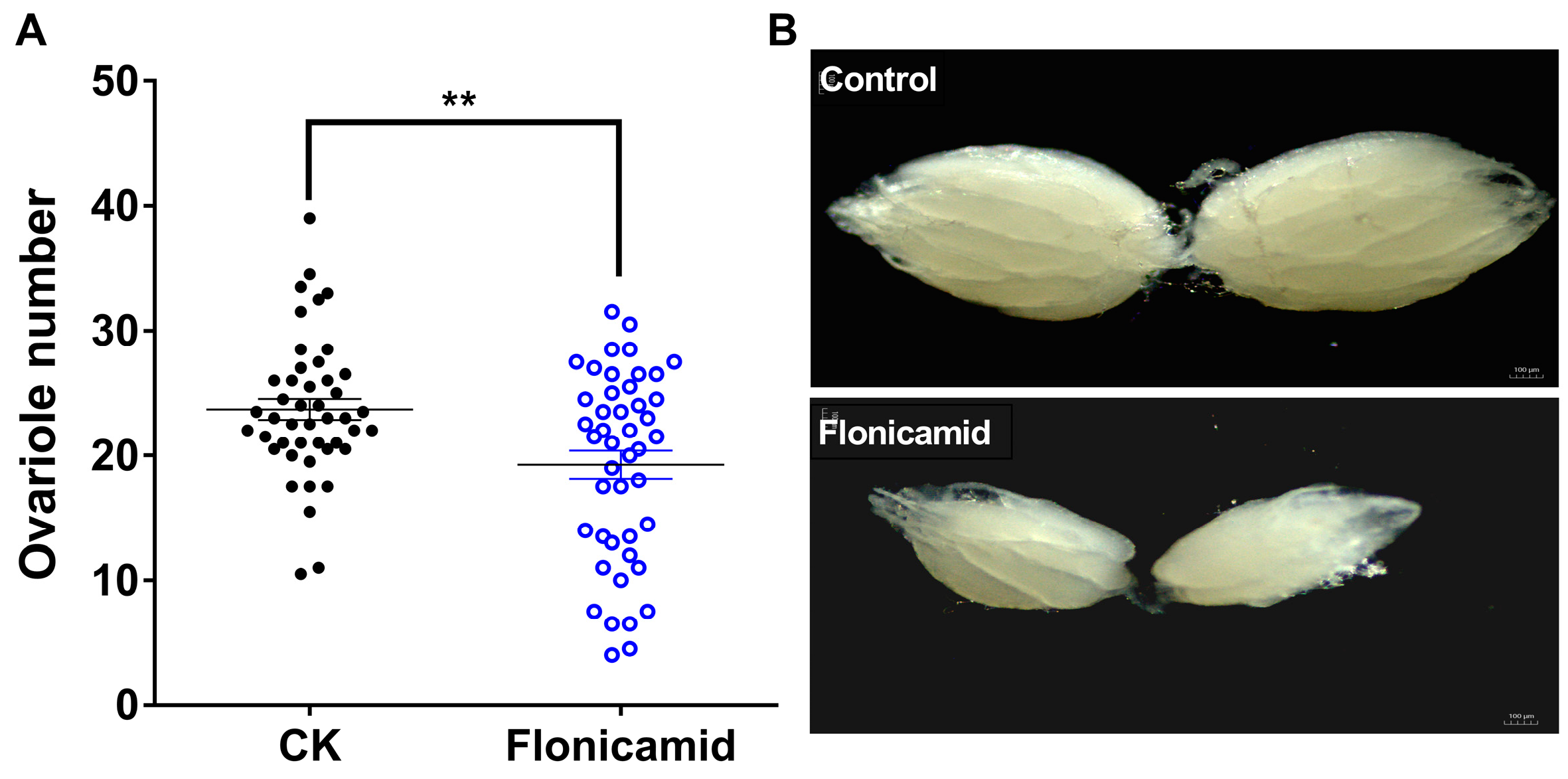 Insects 16 00069 g007