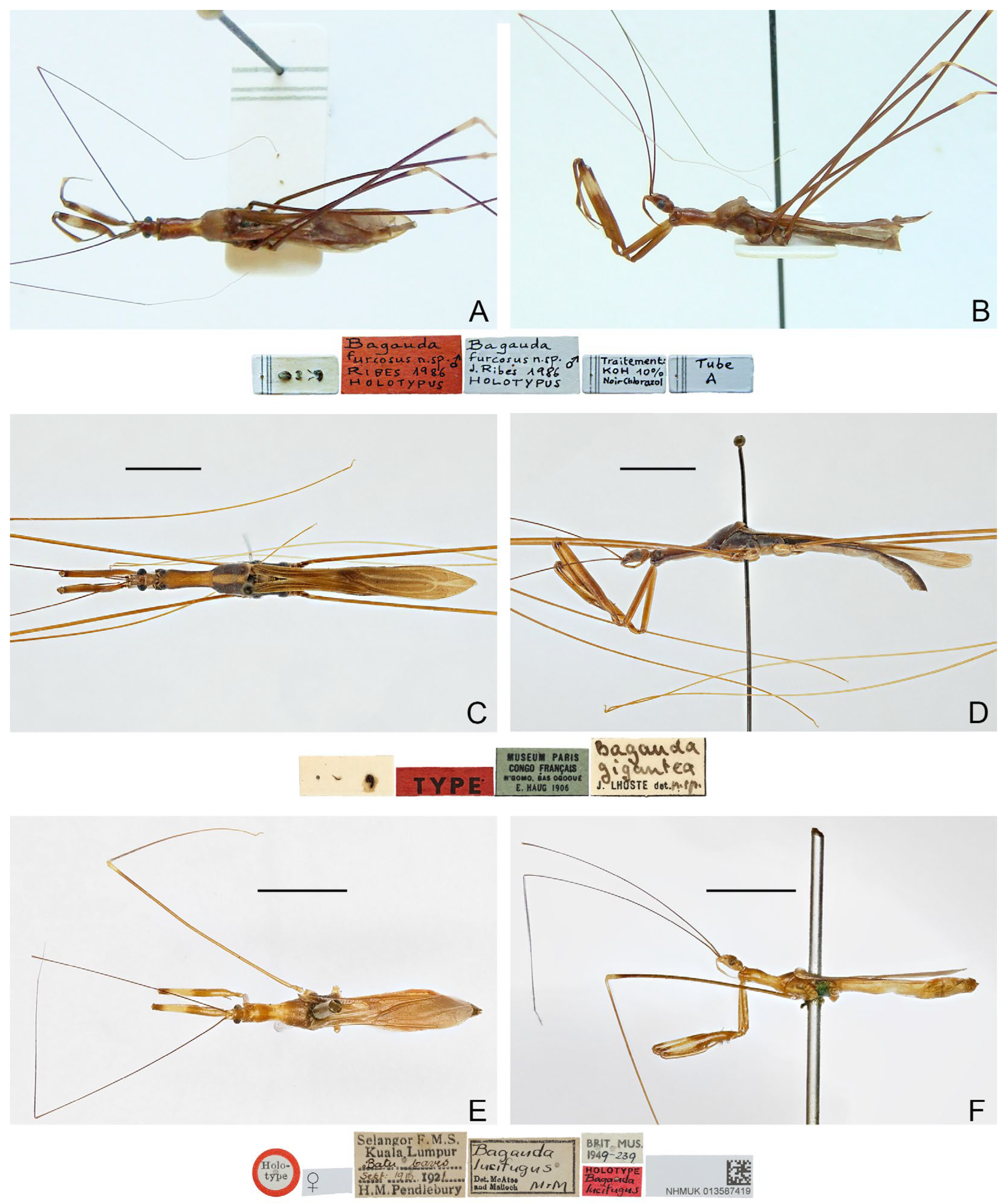 Insects 16 00070 g003