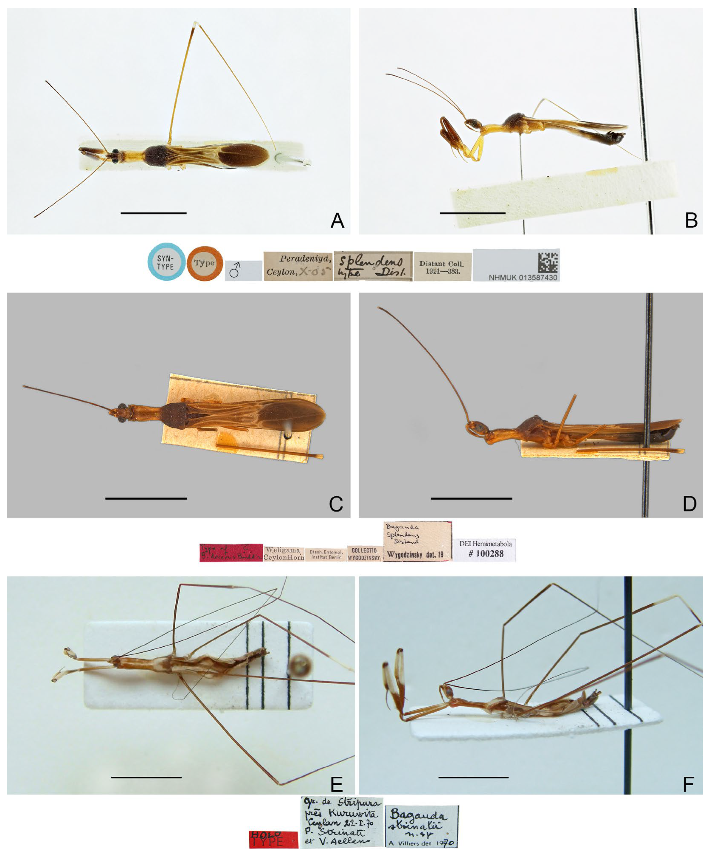 Insects 16 00070 g006