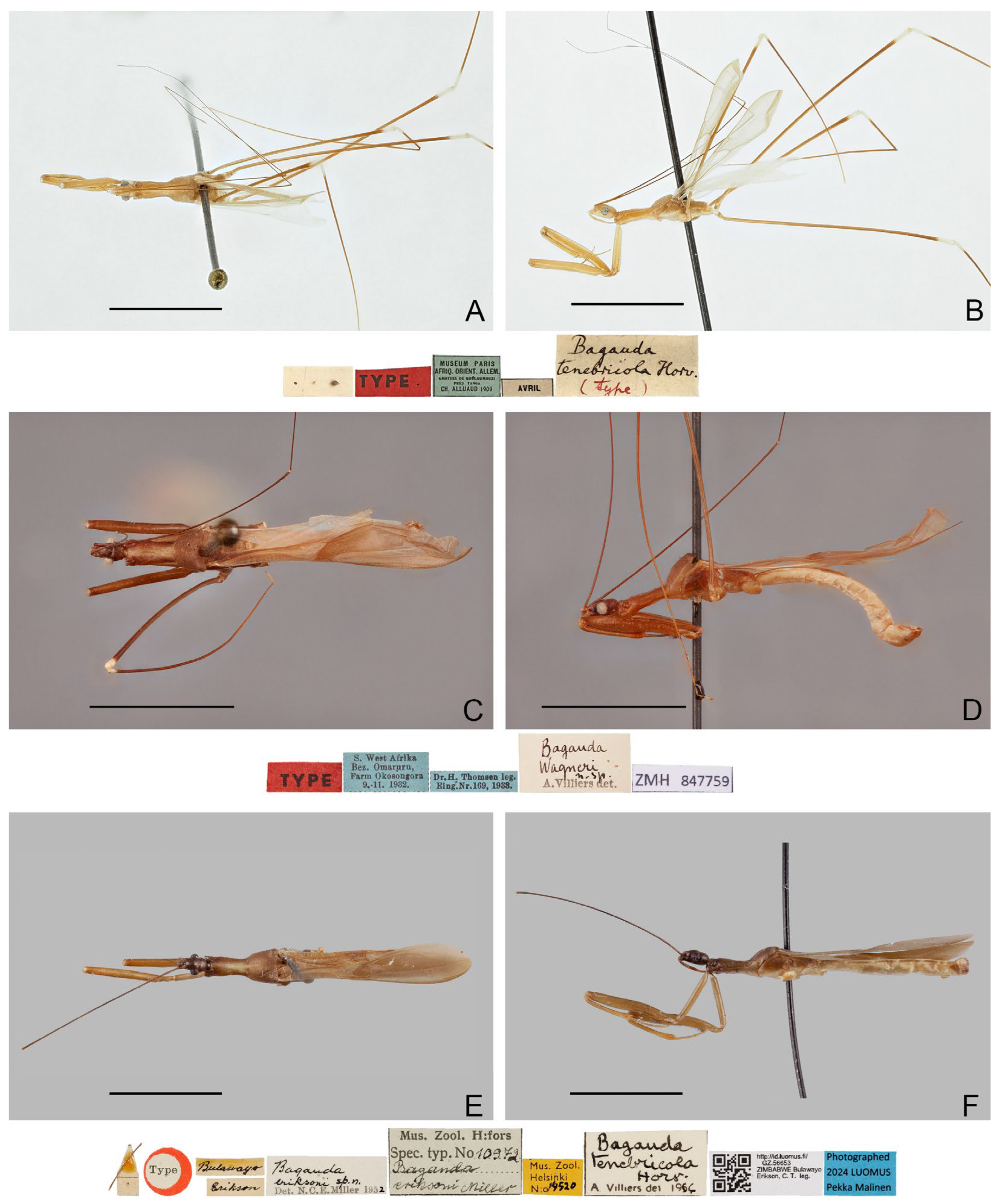 Insects 16 00070 g007