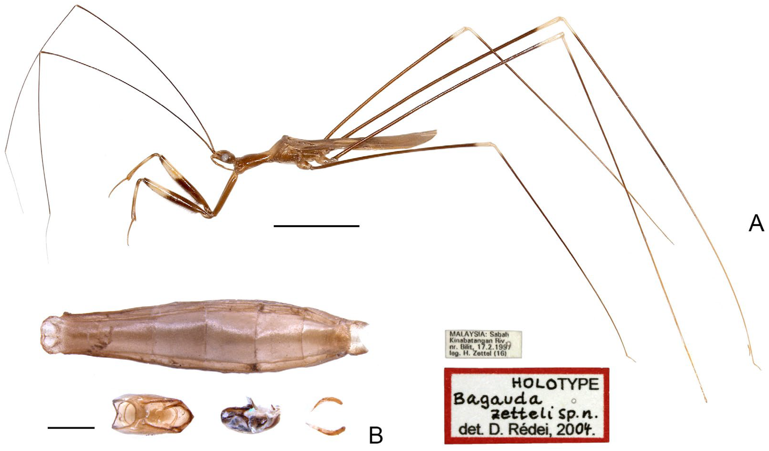 Insects 16 00070 g008