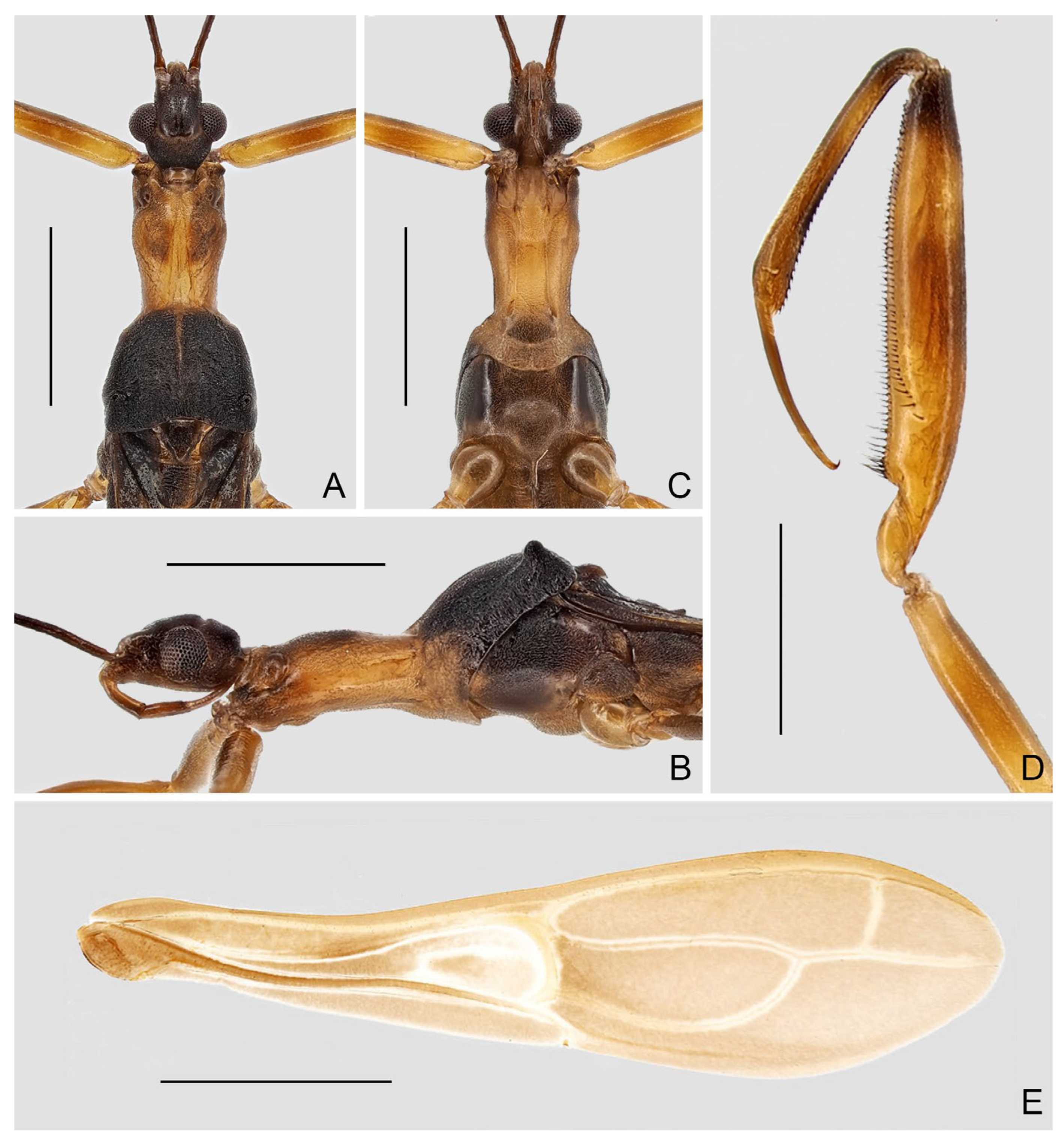 Insects 16 00070 g010