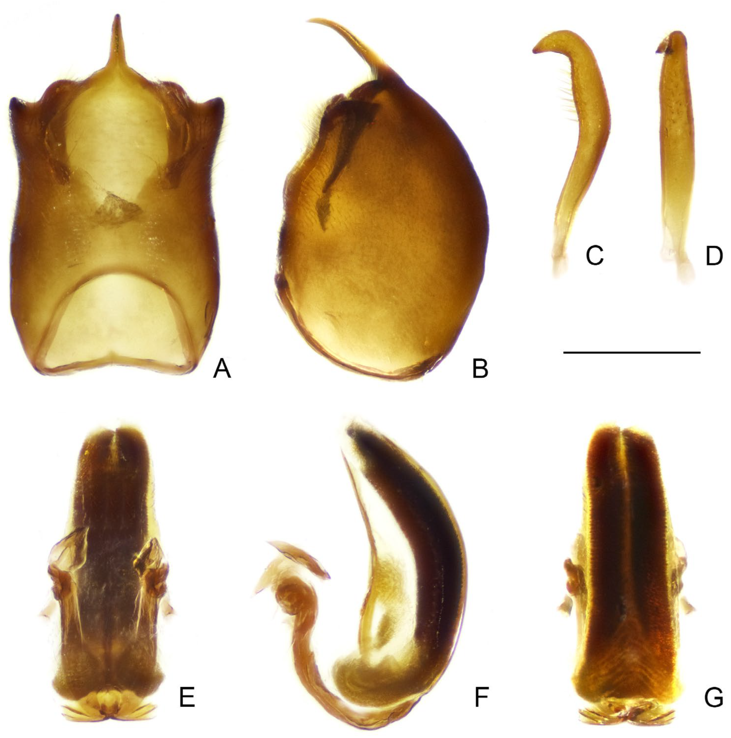 Insects 16 00070 g011