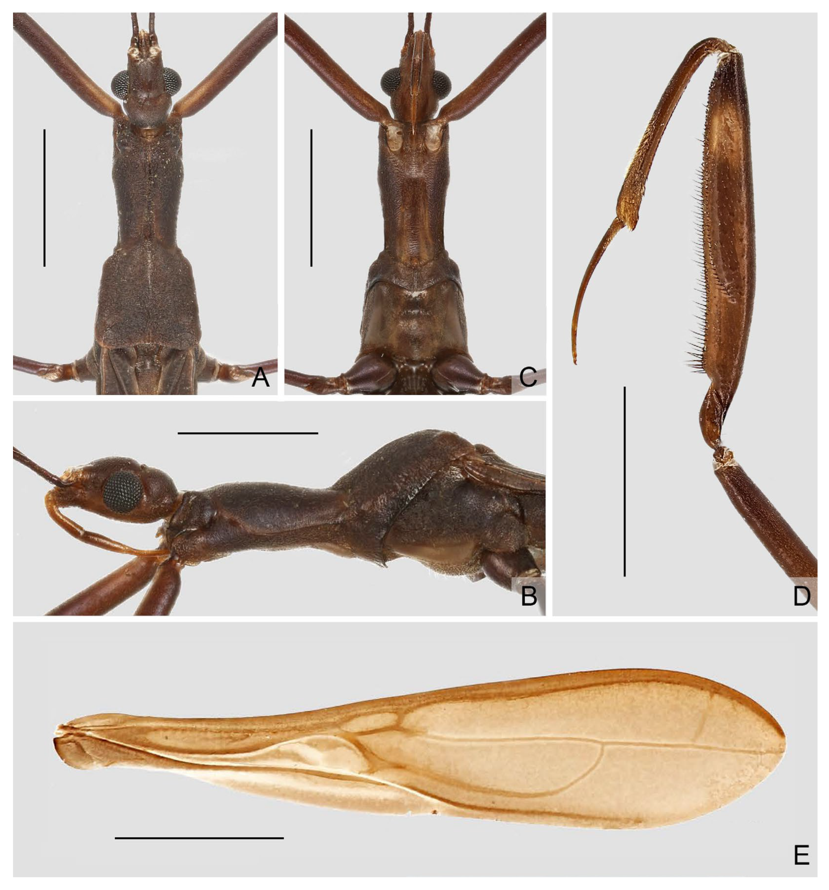 Insects 16 00070 g014