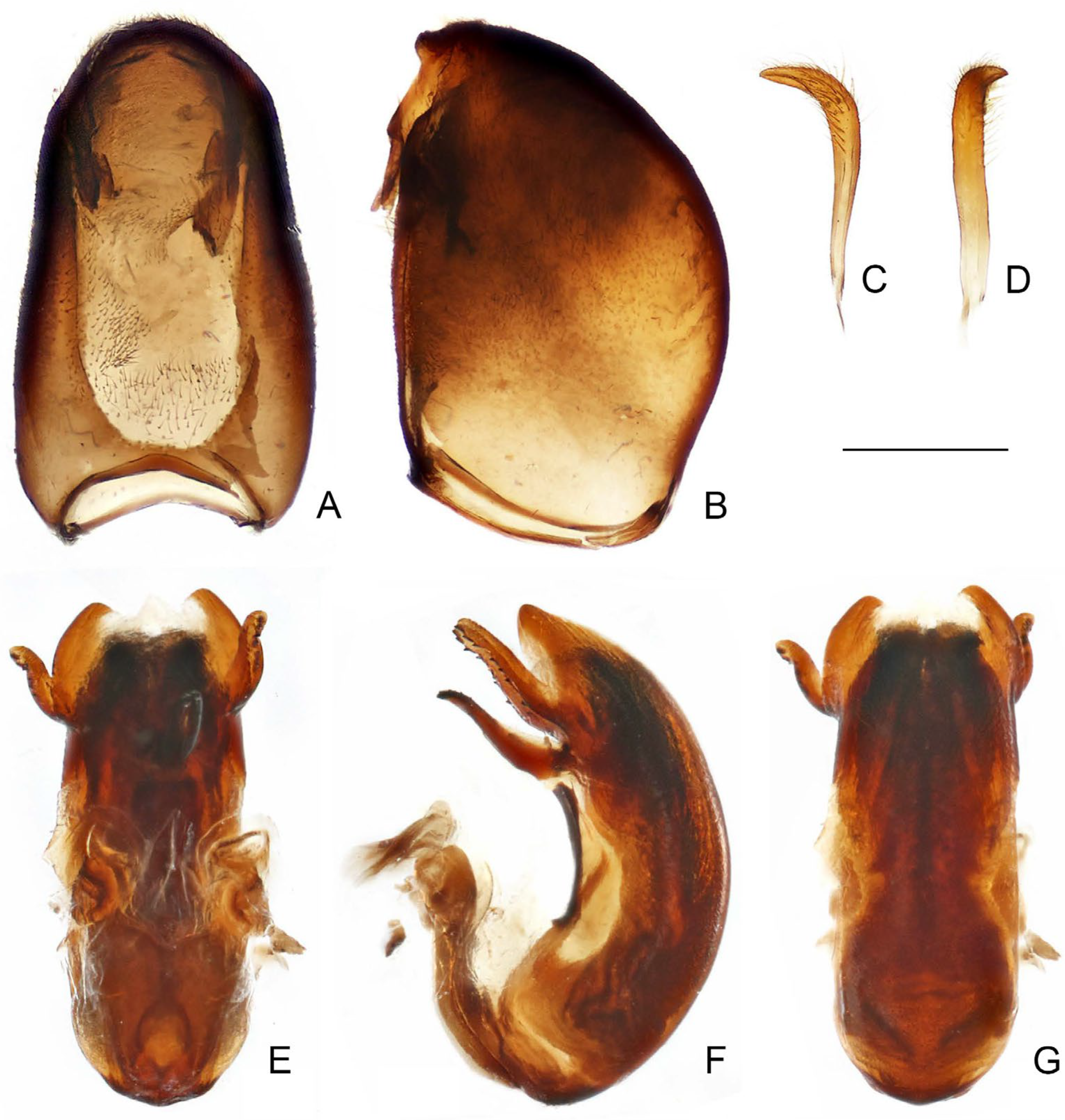 Insects 16 00070 g015