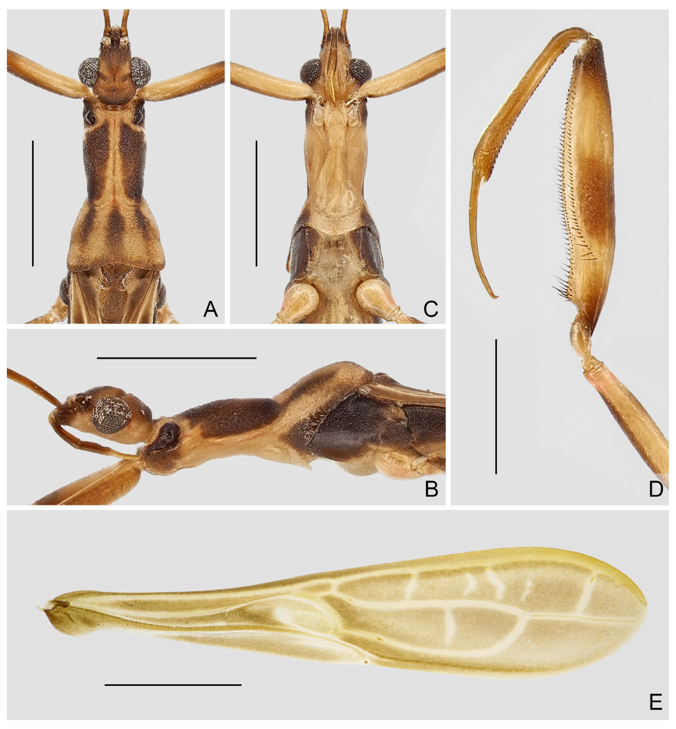 Insects 16 00070 g017