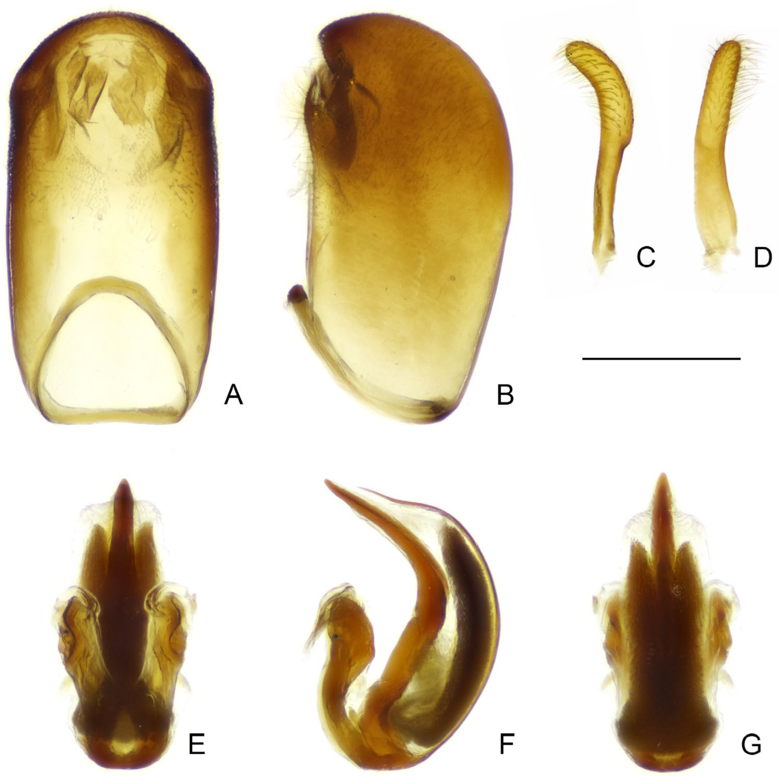 Insects 16 00070 g018