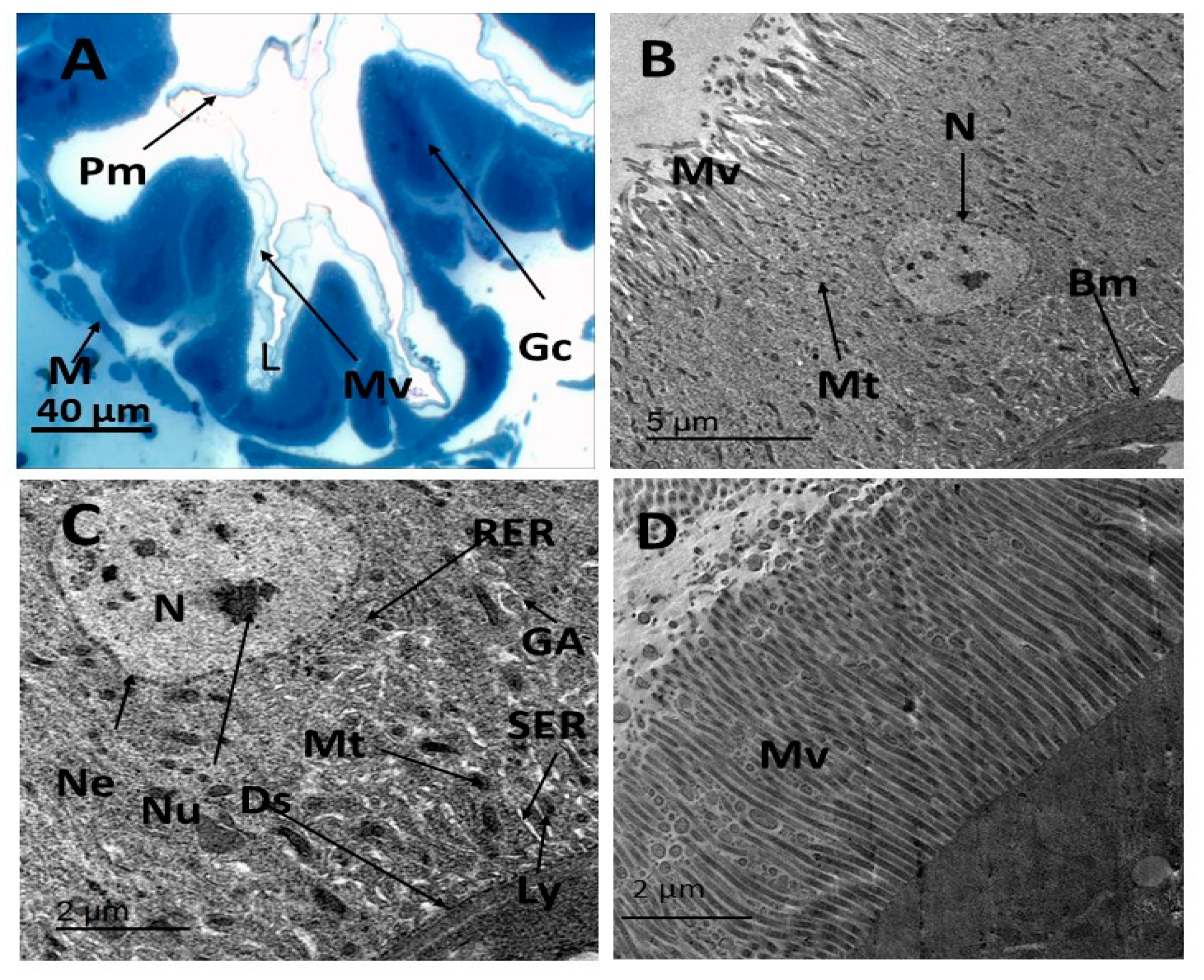 Insects 16 00072 g003