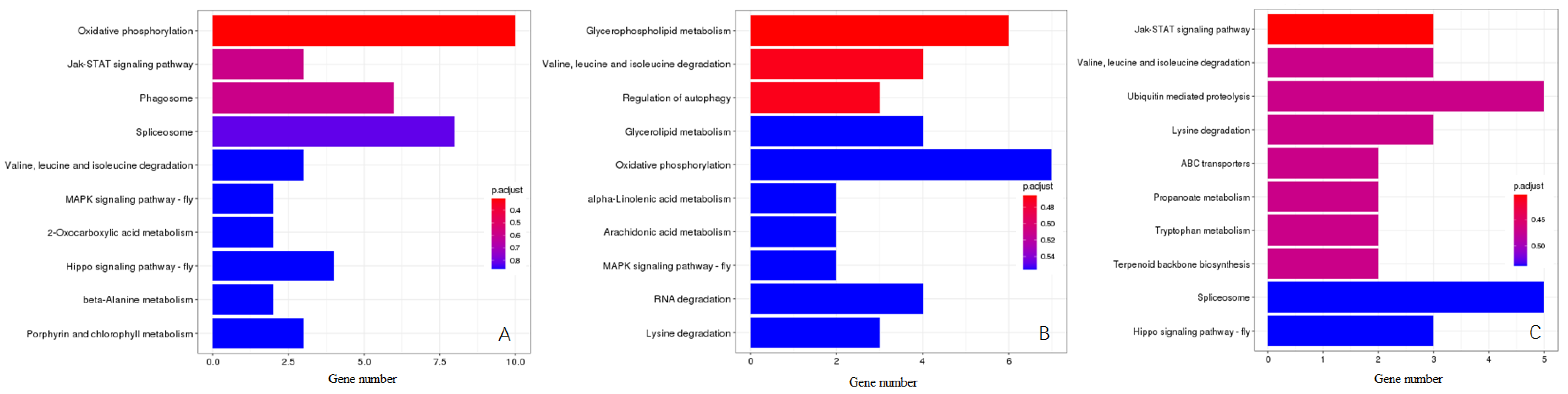 Insects 16 00076 g004