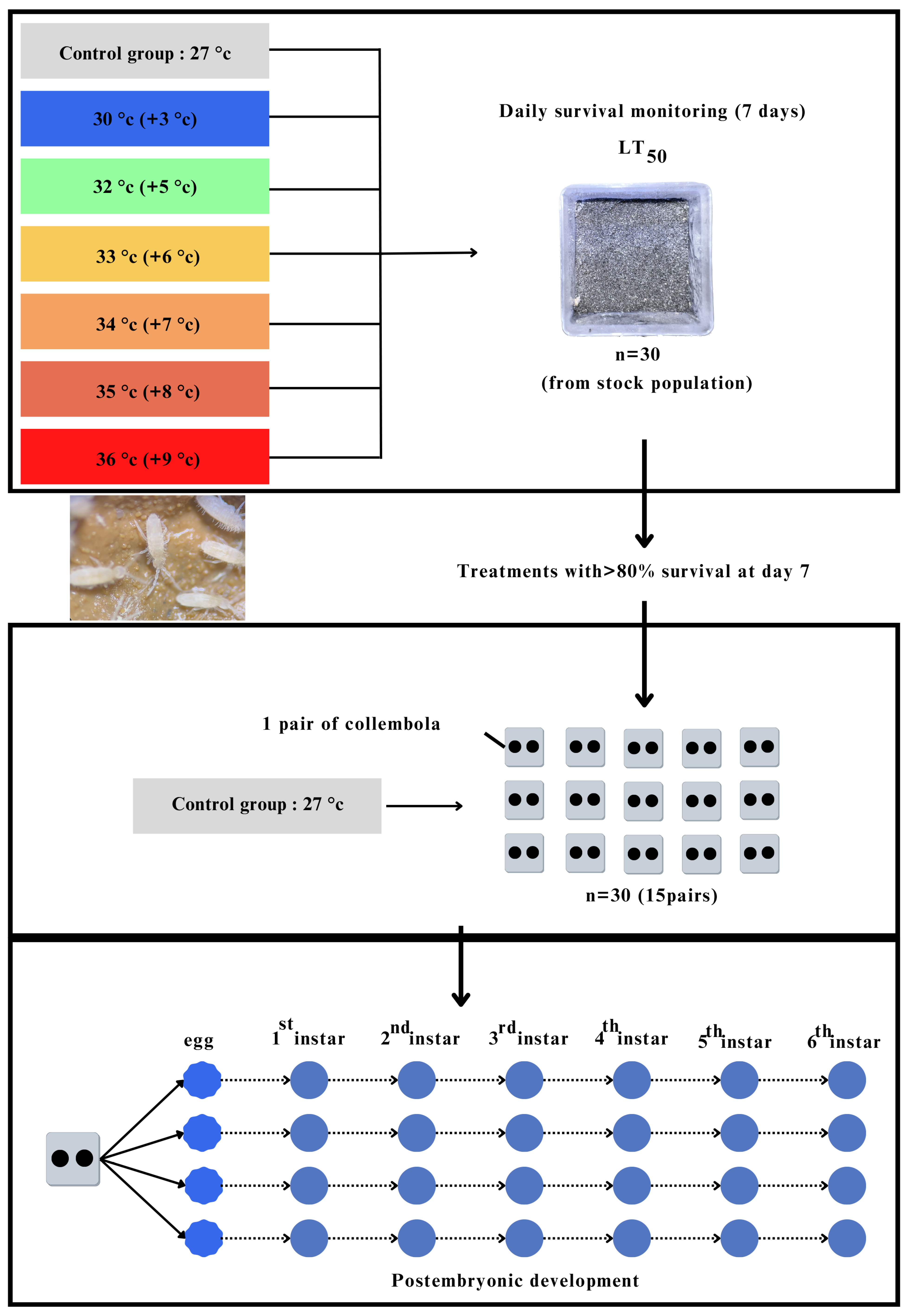 Insects 16 00080 g001
