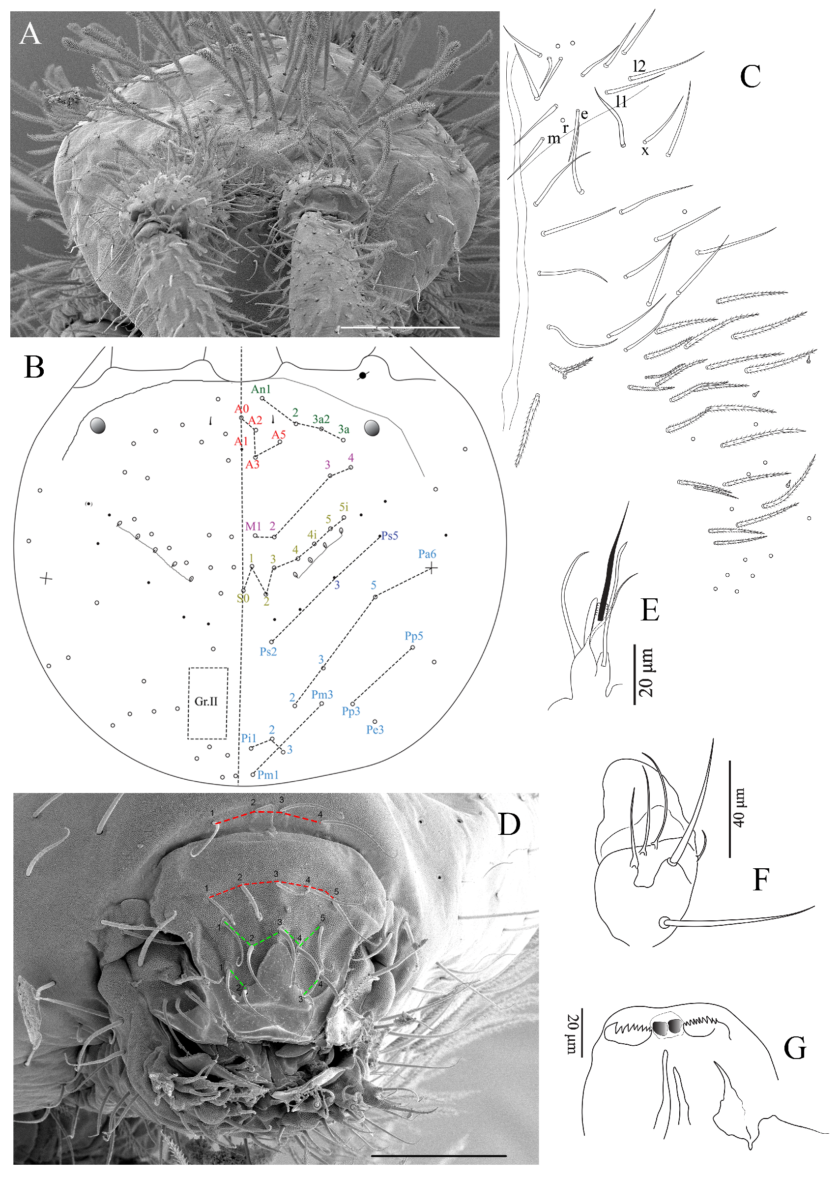 Insects 16 00080 g004