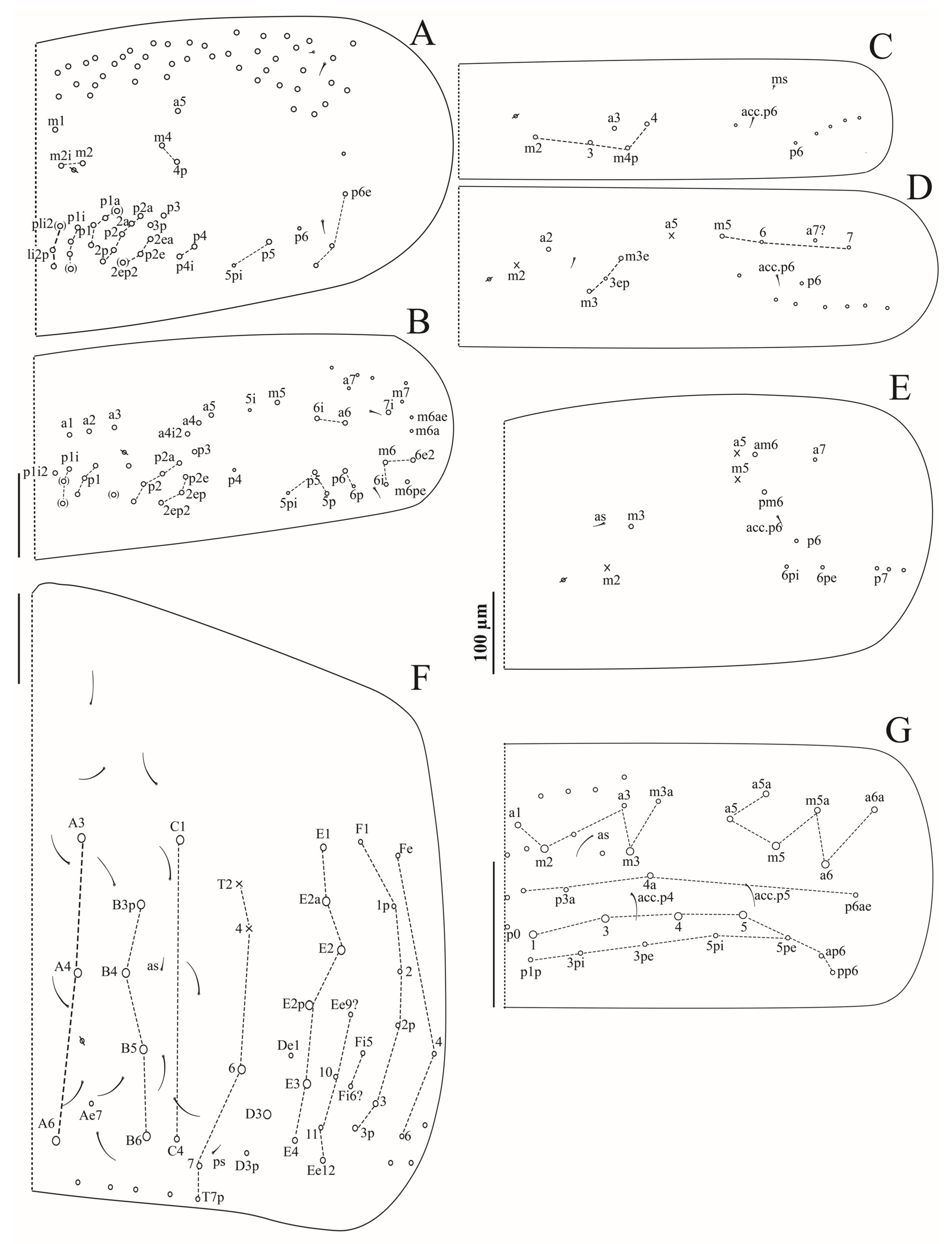 Insects 16 00080 g005