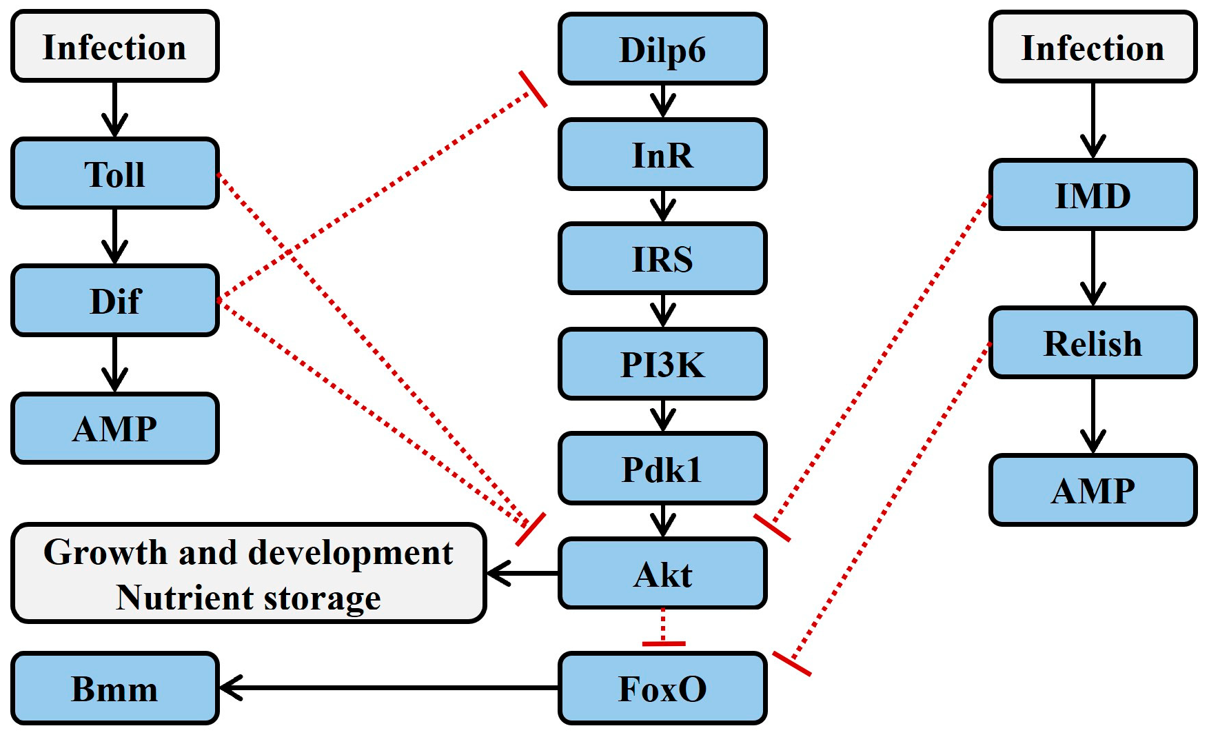 Insects 16 00082 g002