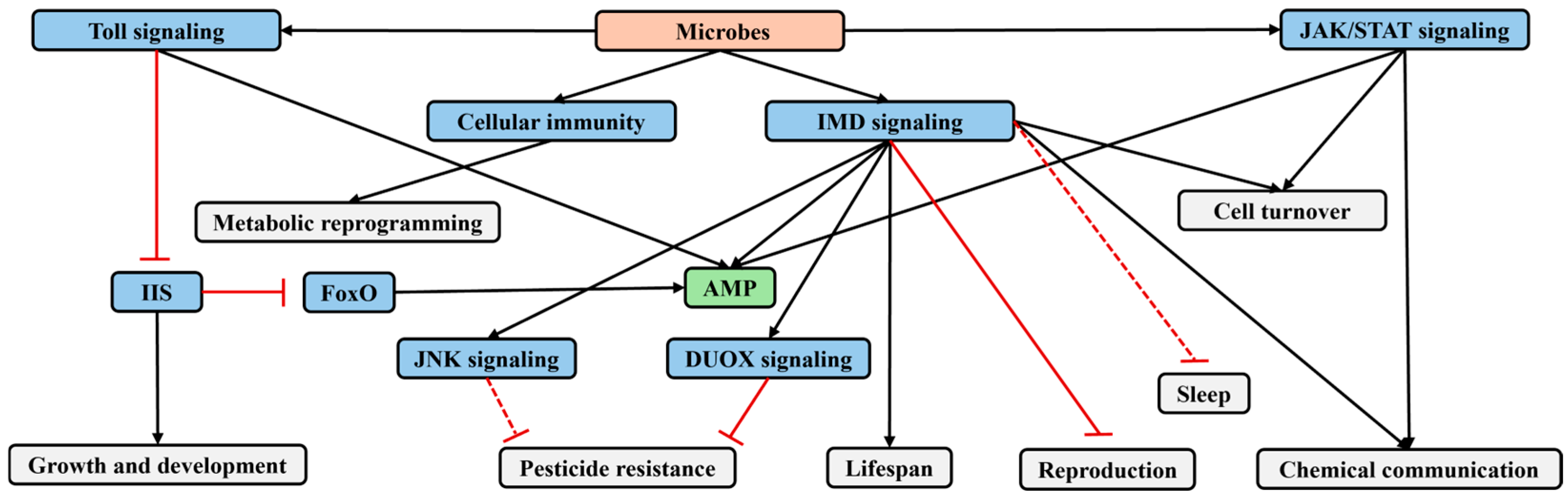 Insects 16 00082 g003