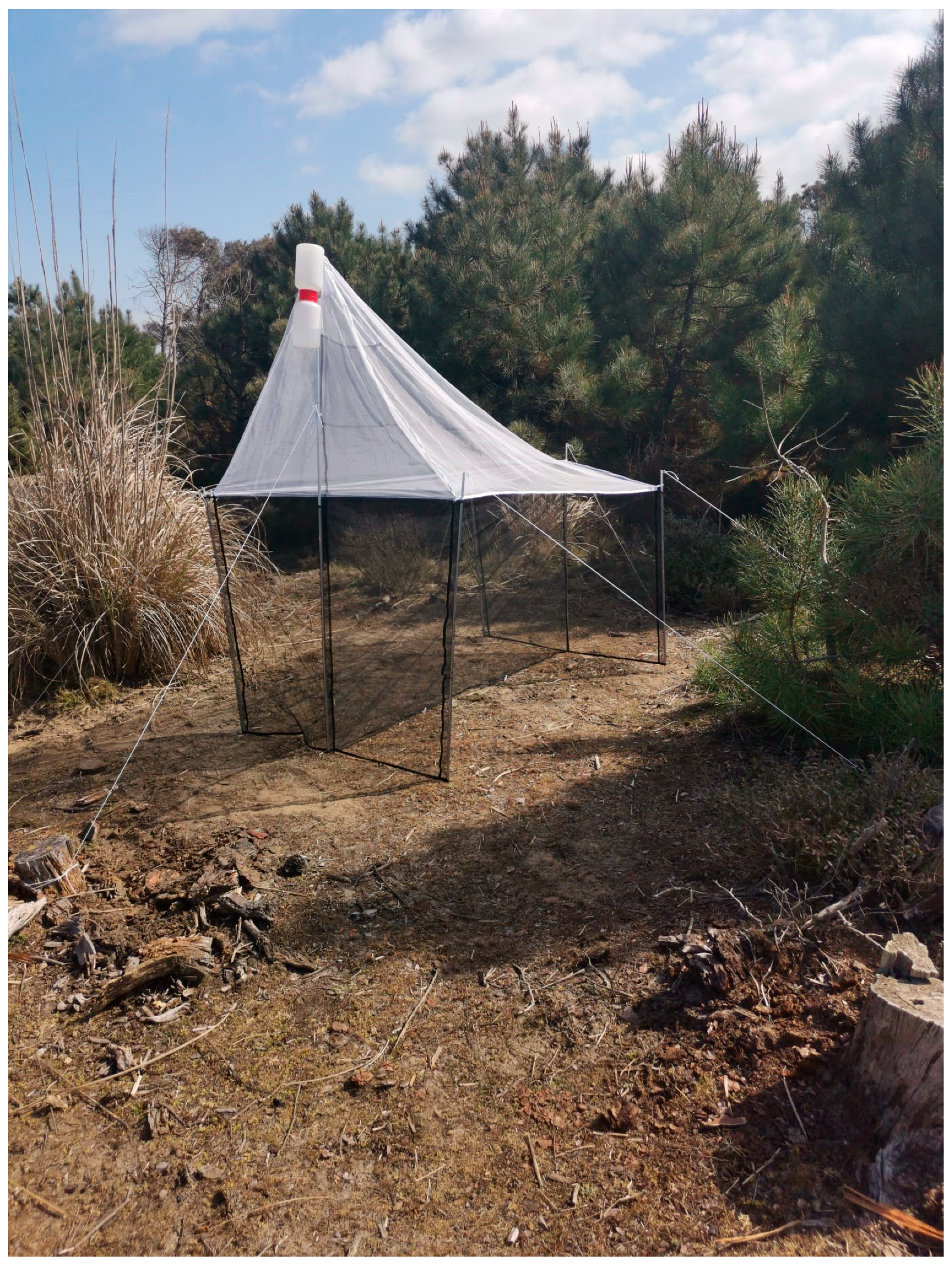 Insects 16 00083 g001