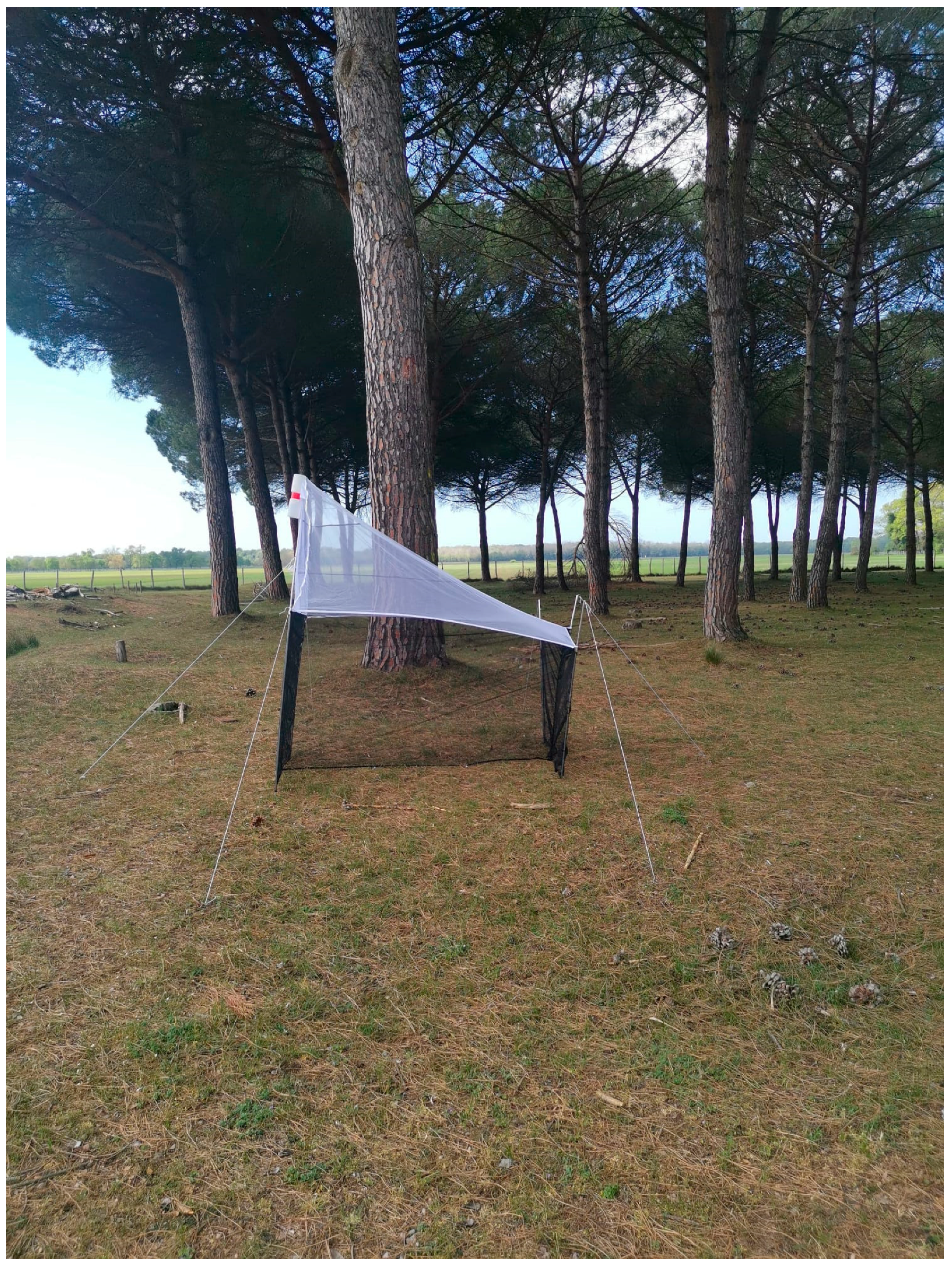 Insects 16 00083 g002