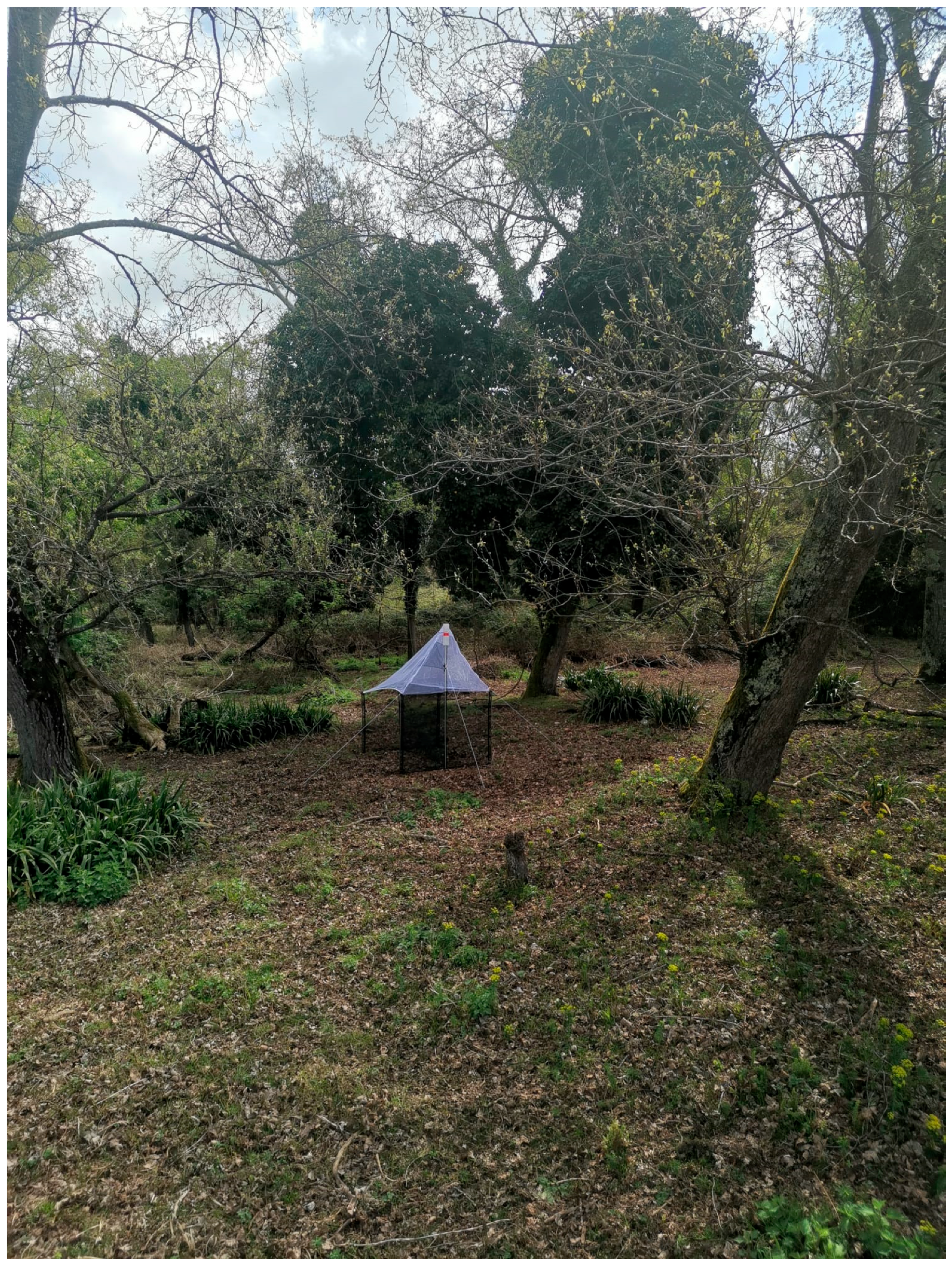 Insects 16 00083 g003