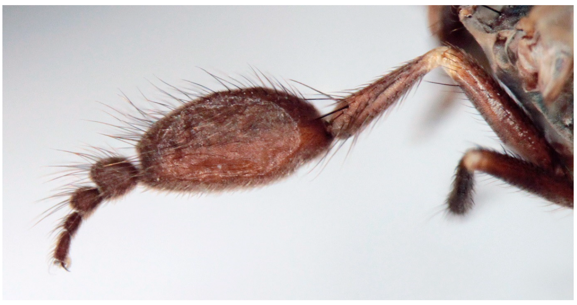 Insects 16 00083 g008