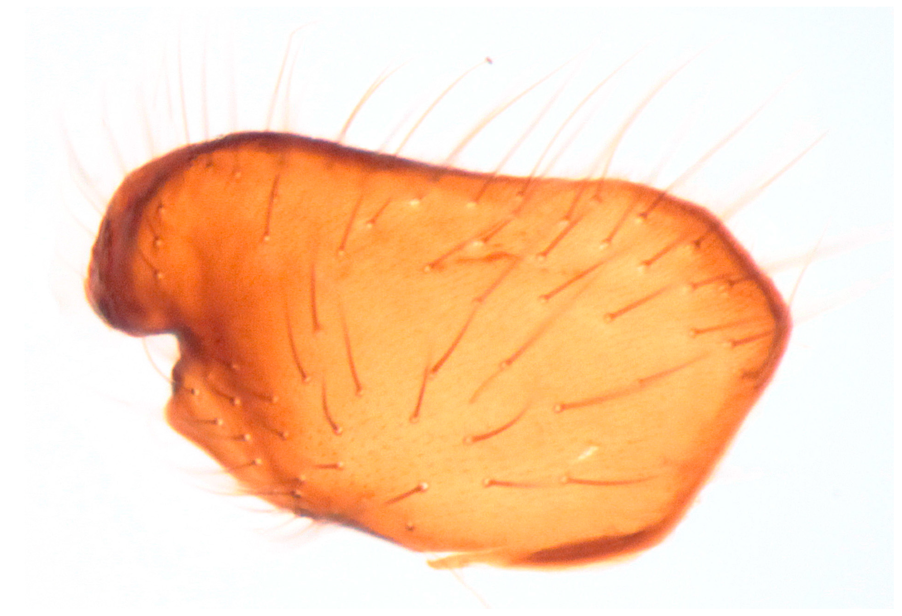 Insects 16 00083 g010