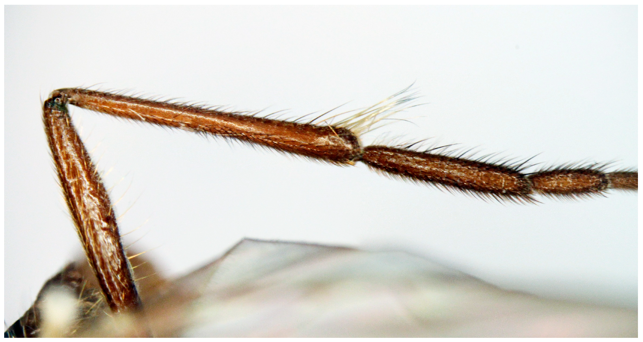 Insects 16 00083 g014