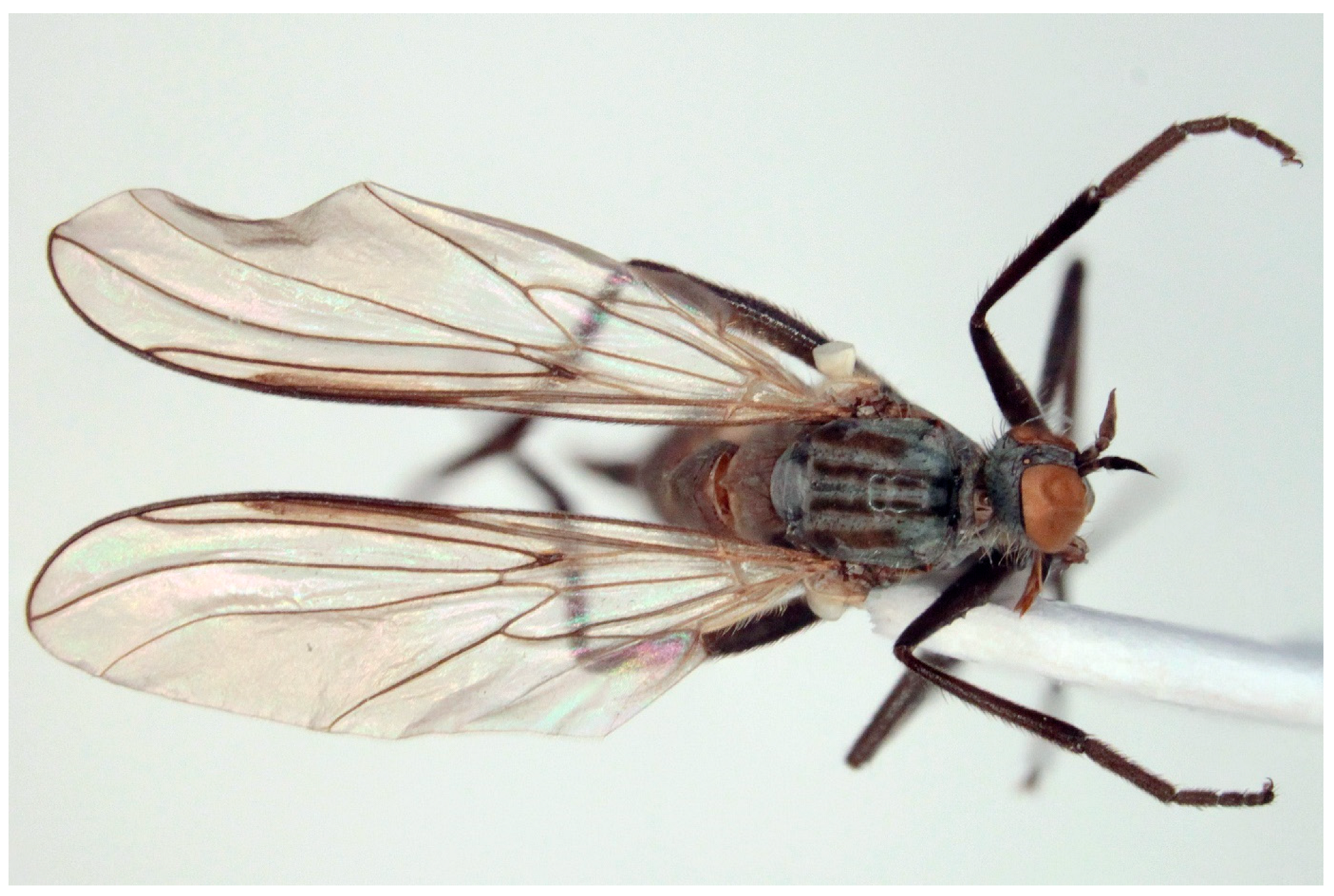 Insects 16 00083 g015