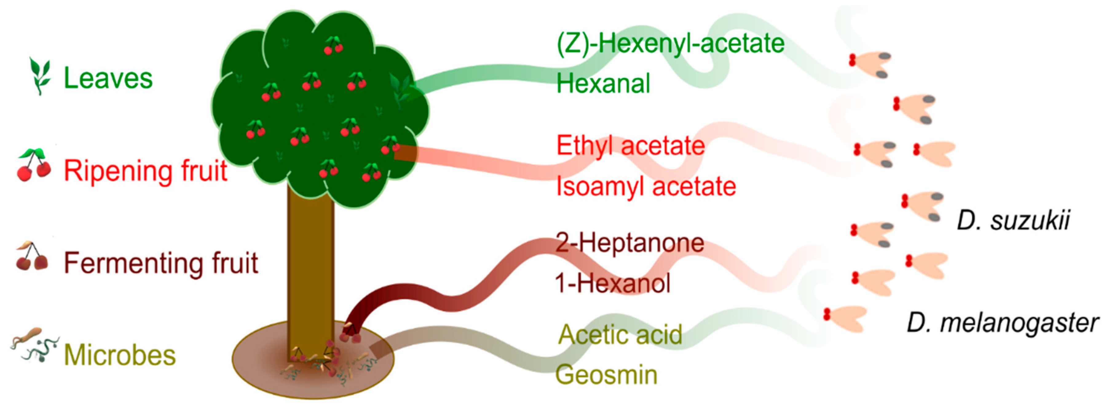 Insects 16 00084 g001