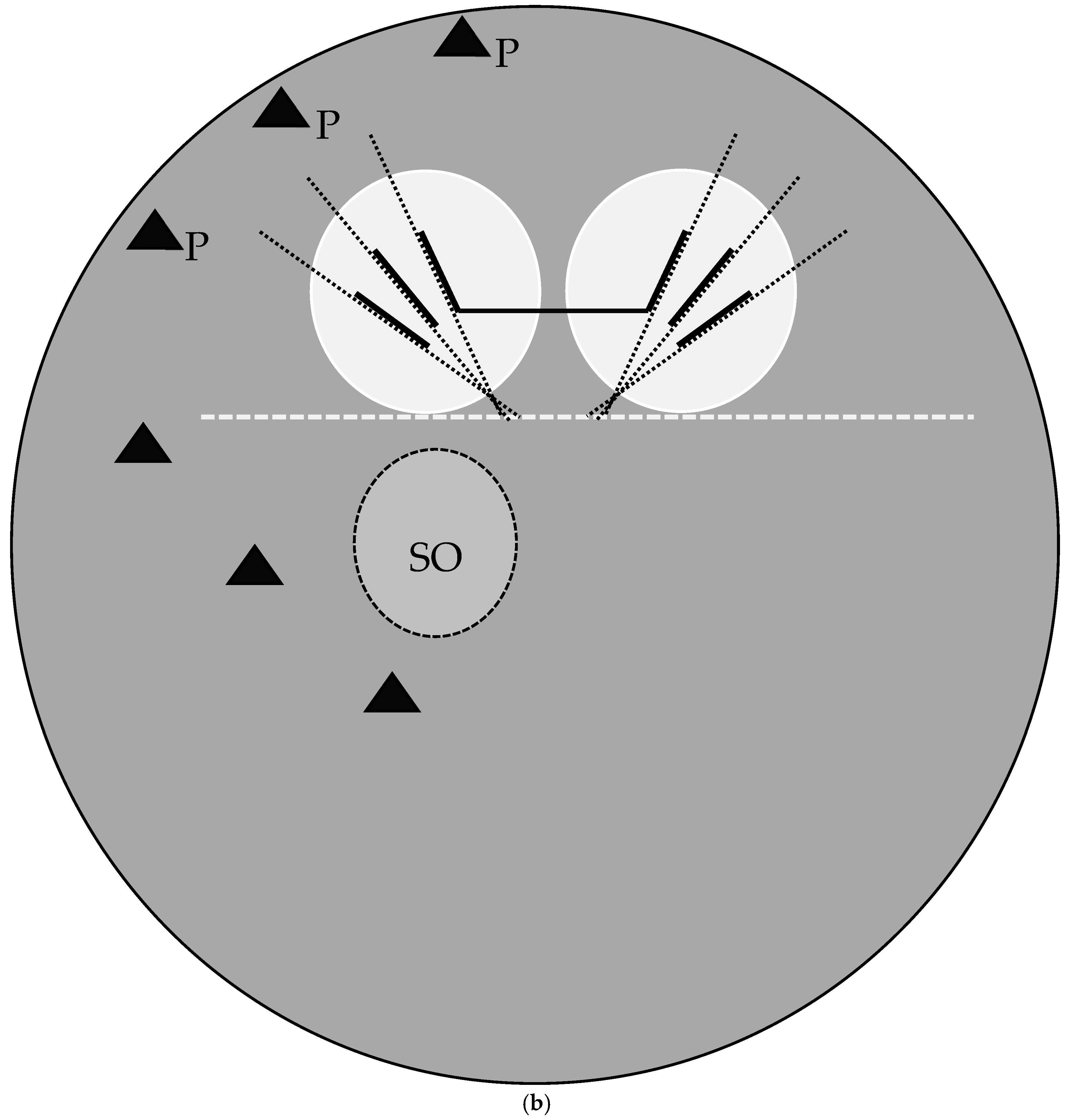 Insects 16 00088 g002b