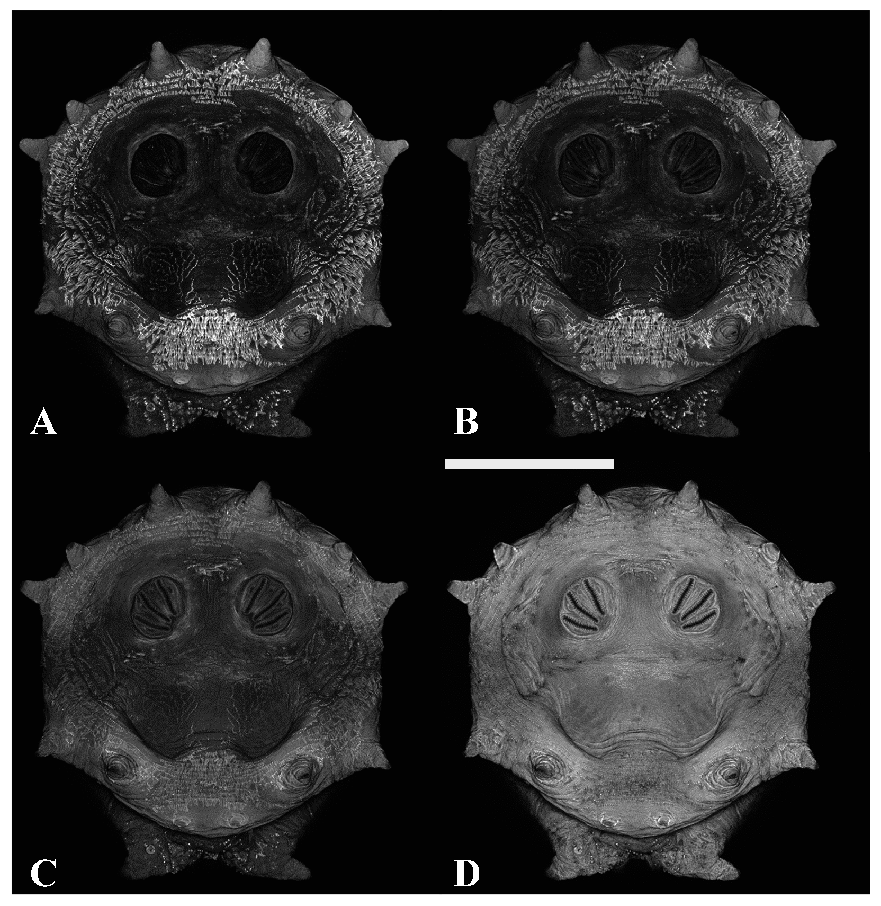 Insects 16 00088 g011