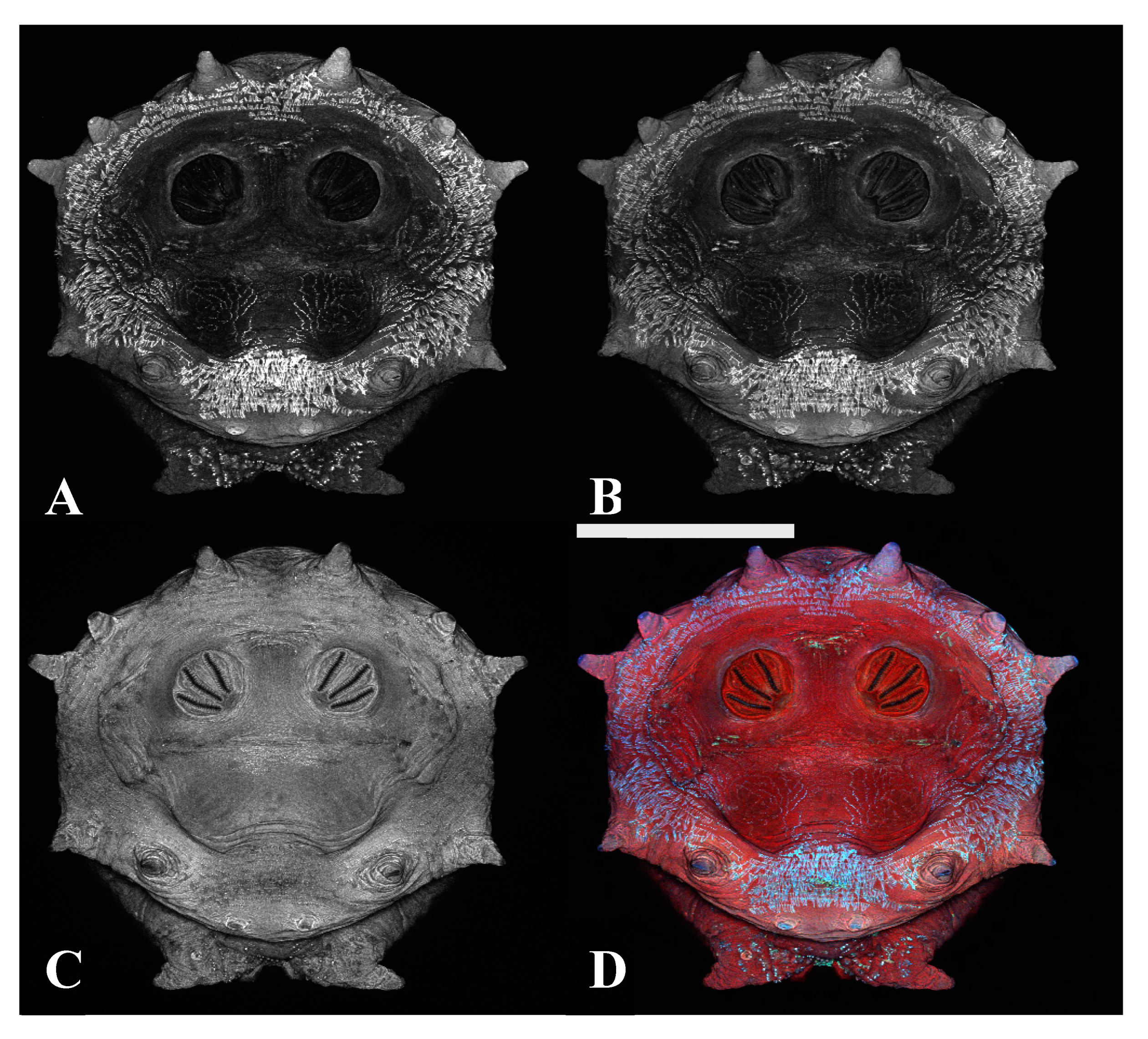 Insects 16 00088 g012