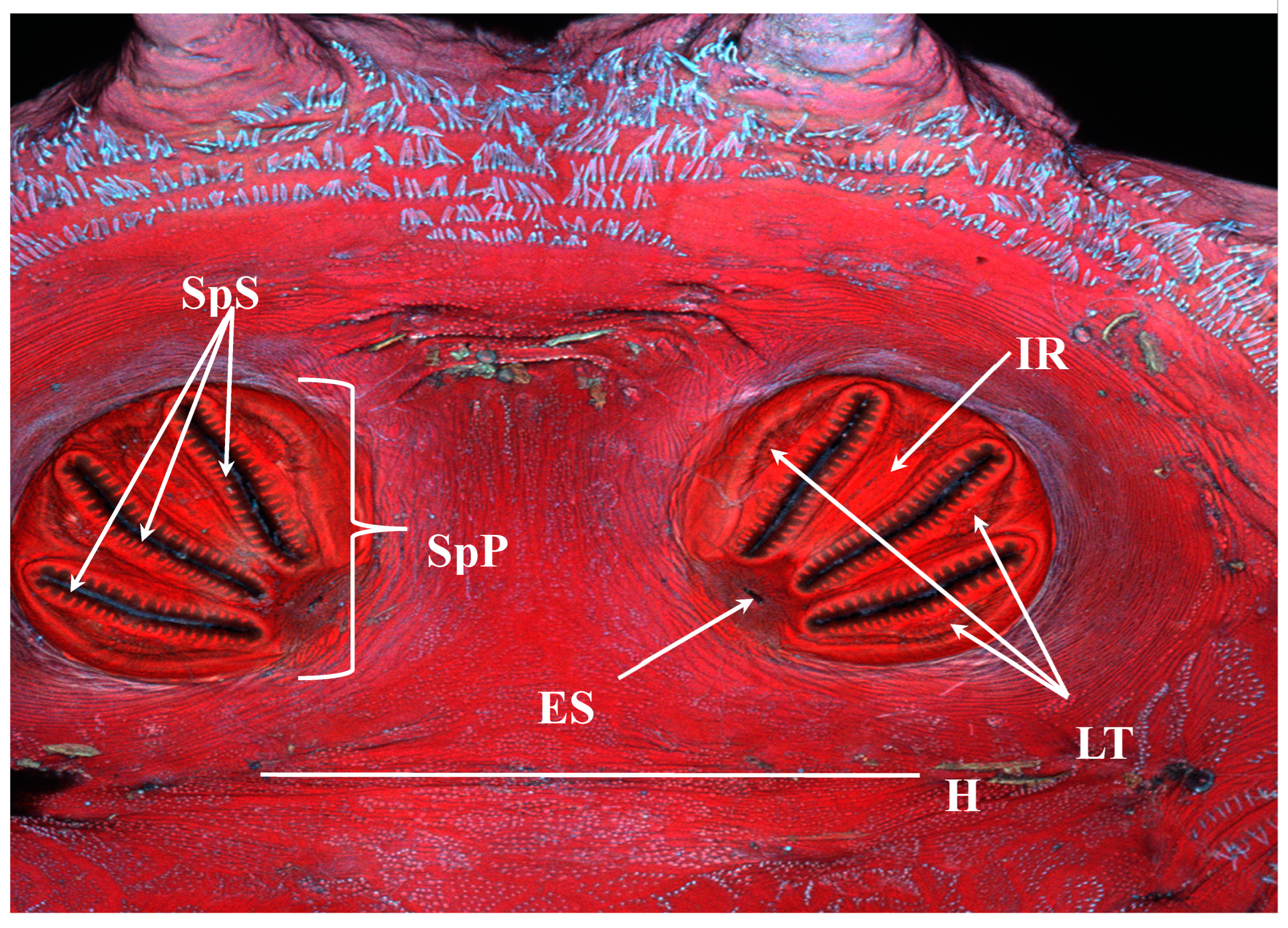 Insects 16 00088 g014
