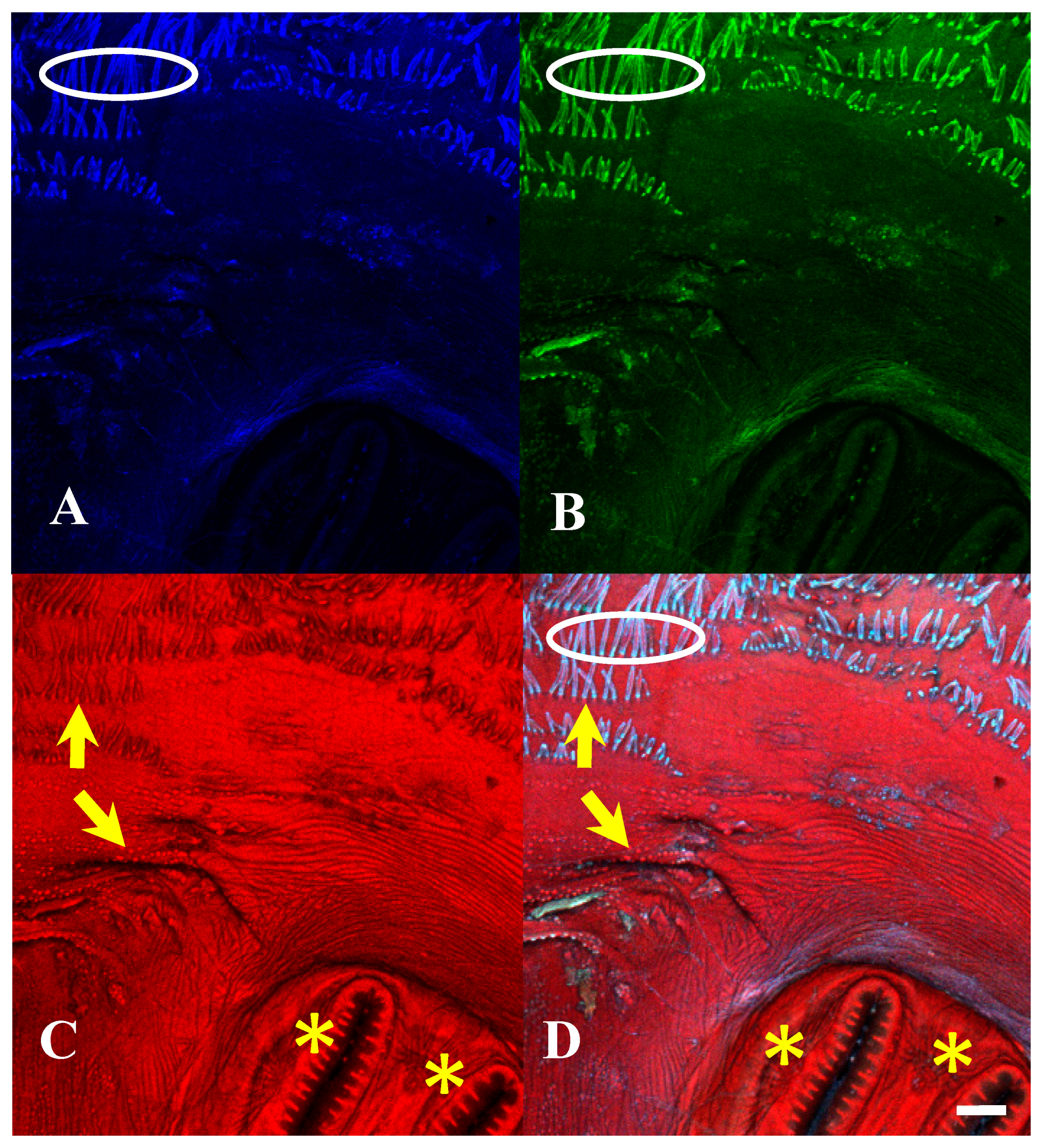 Insects 16 00088 g015