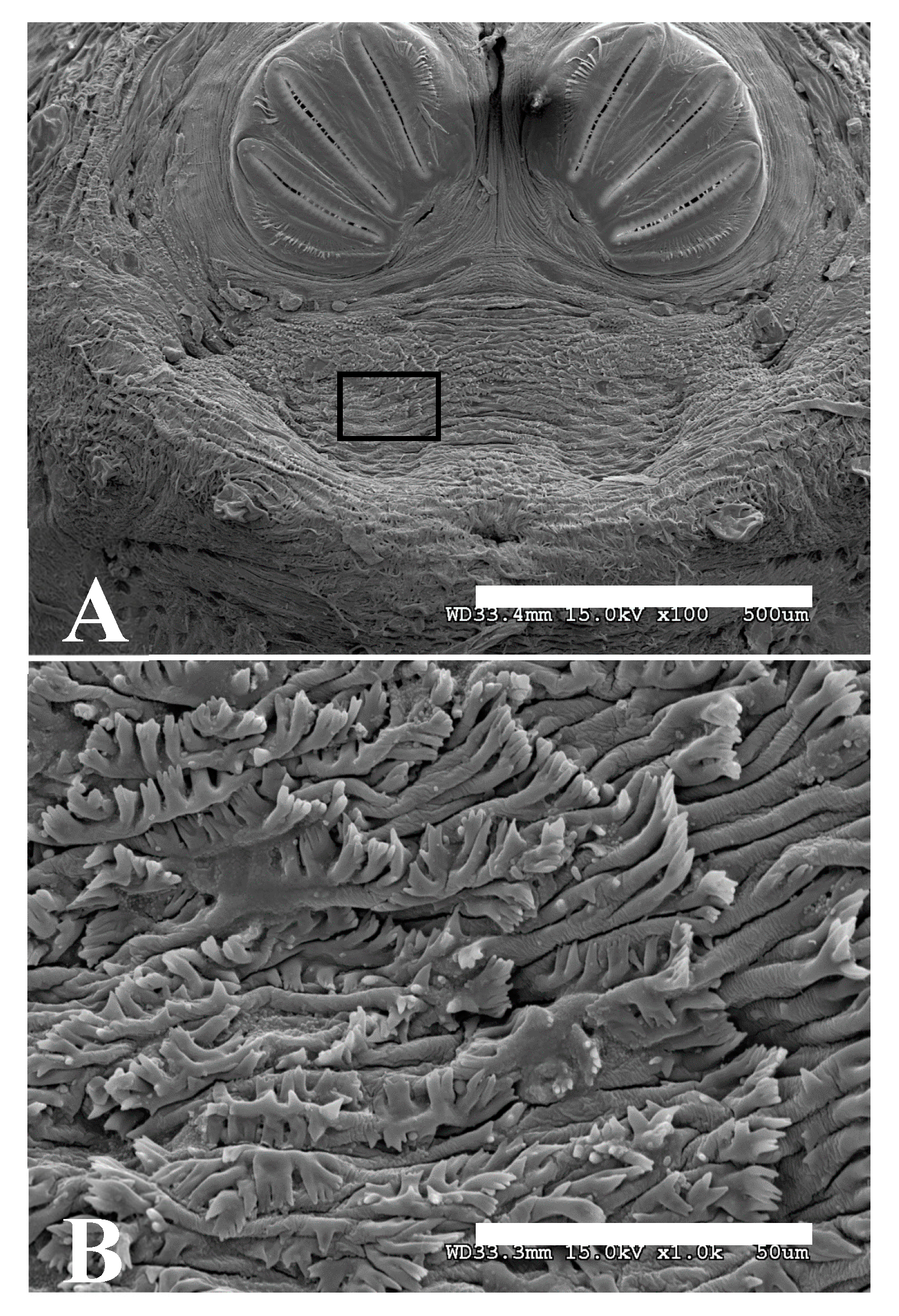 Insects 16 00088 g017