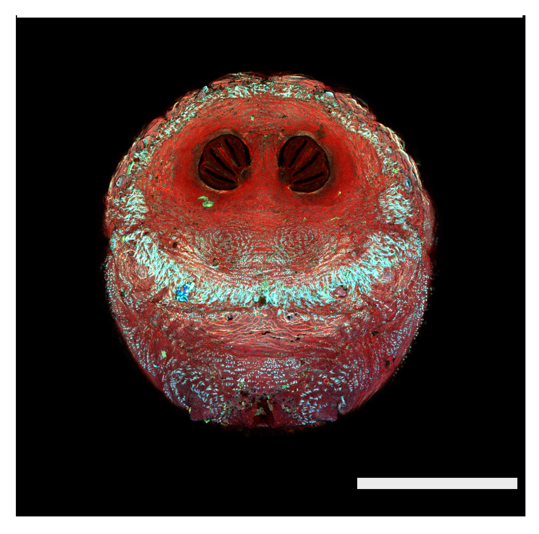 Insects 16 00088 g023