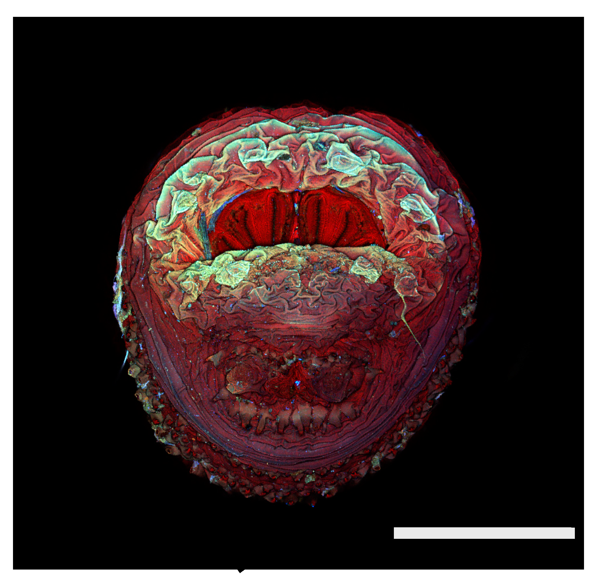 Insects 16 00088 g027