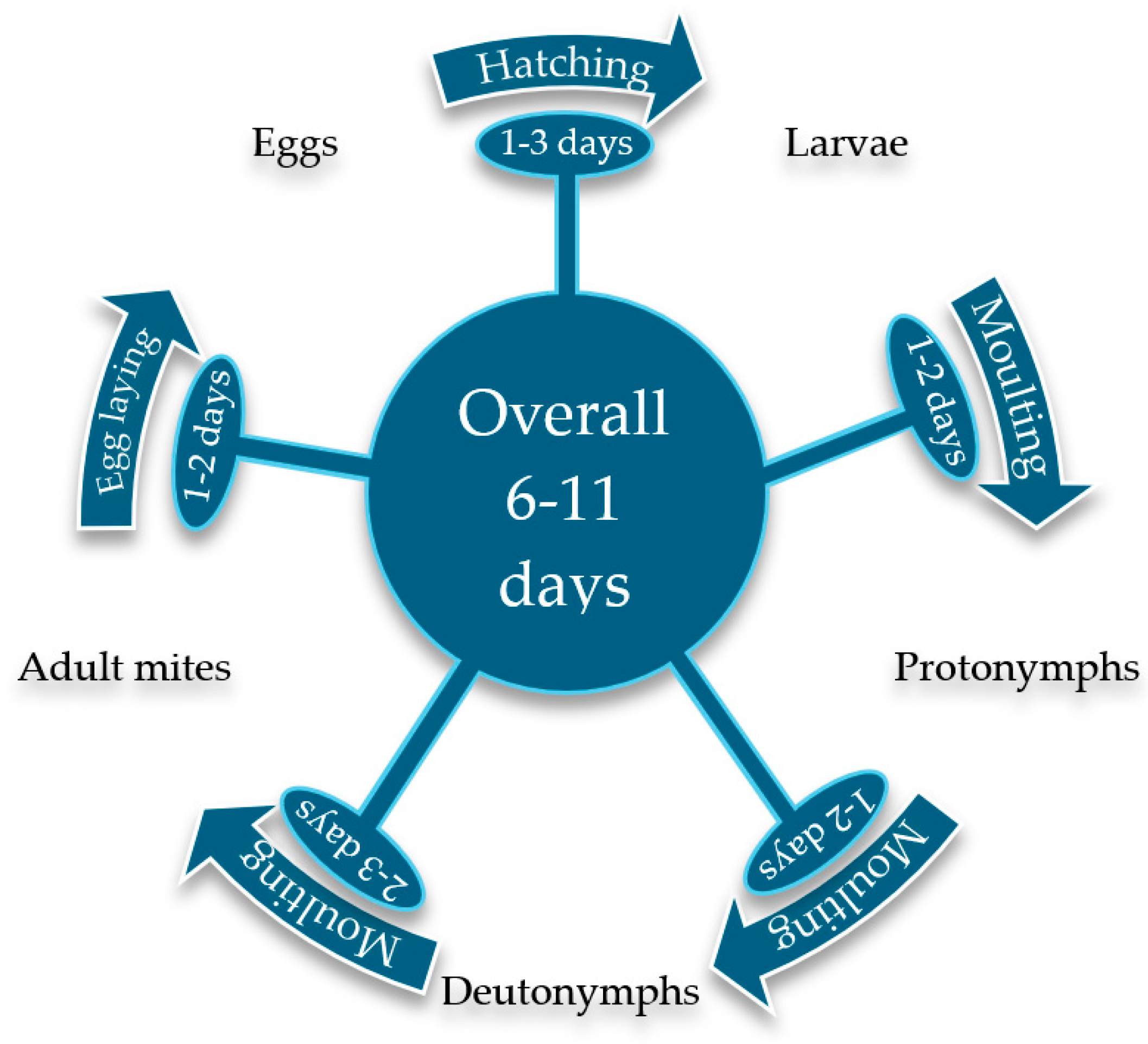 Insects 16 00089 g002