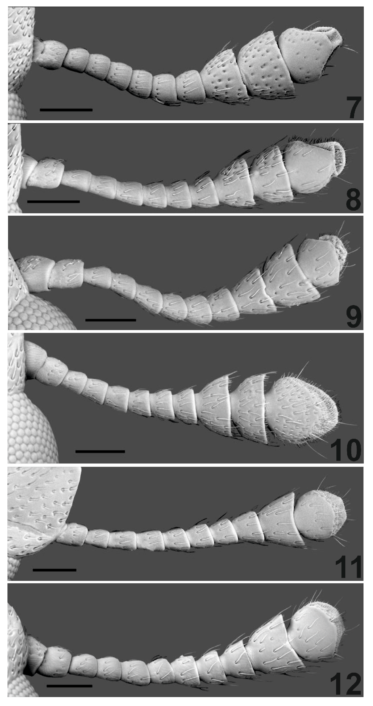 Insects 16 00091 g002