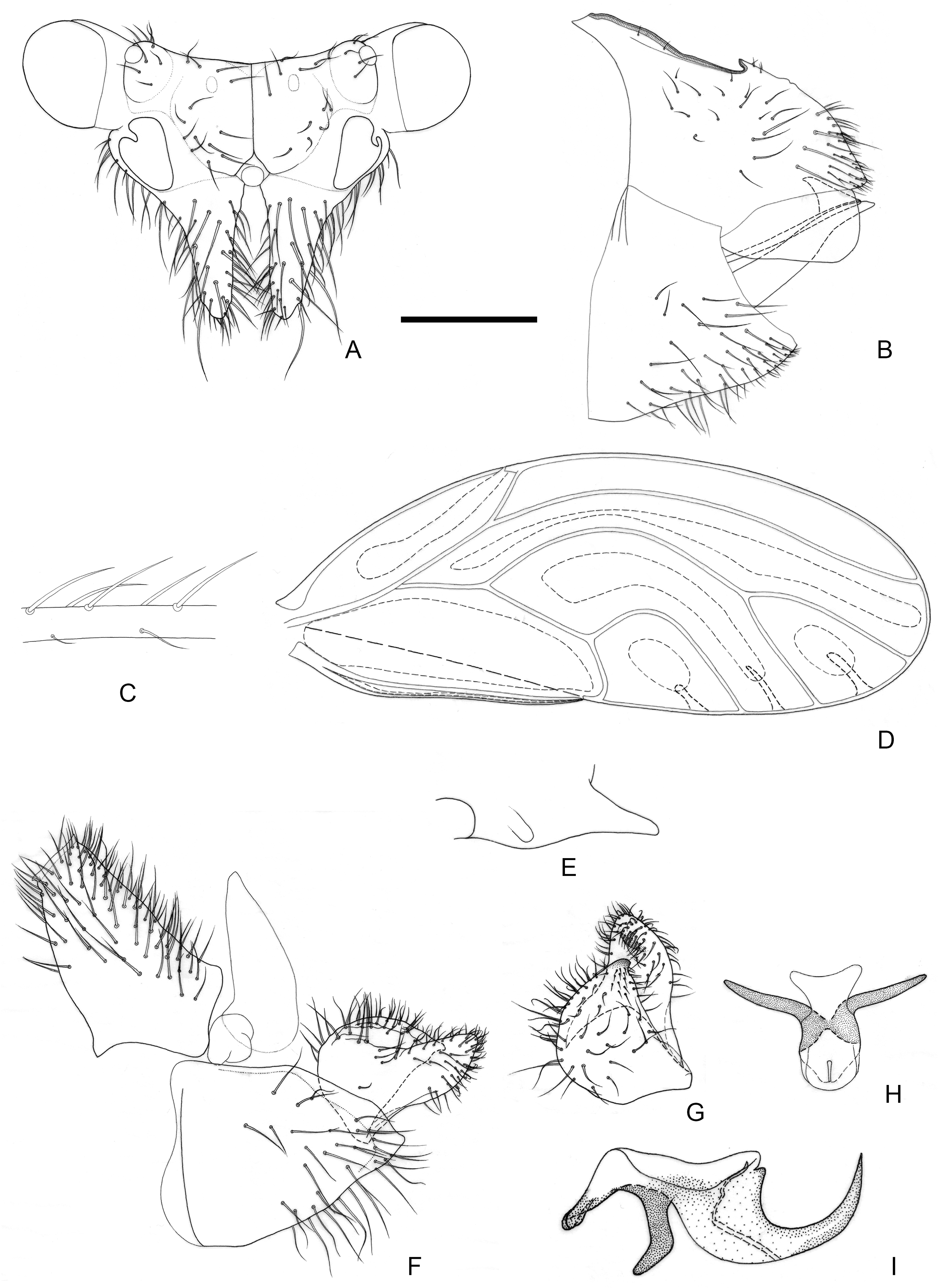 Insects 16 00099 g004