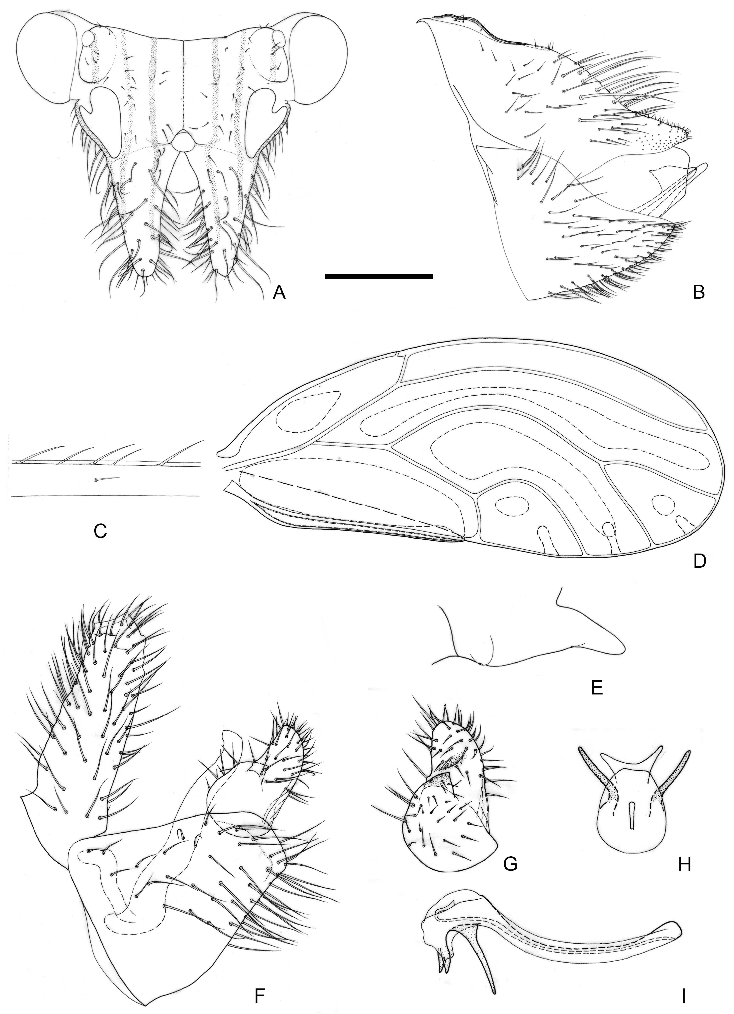 Insects 16 00099 g005