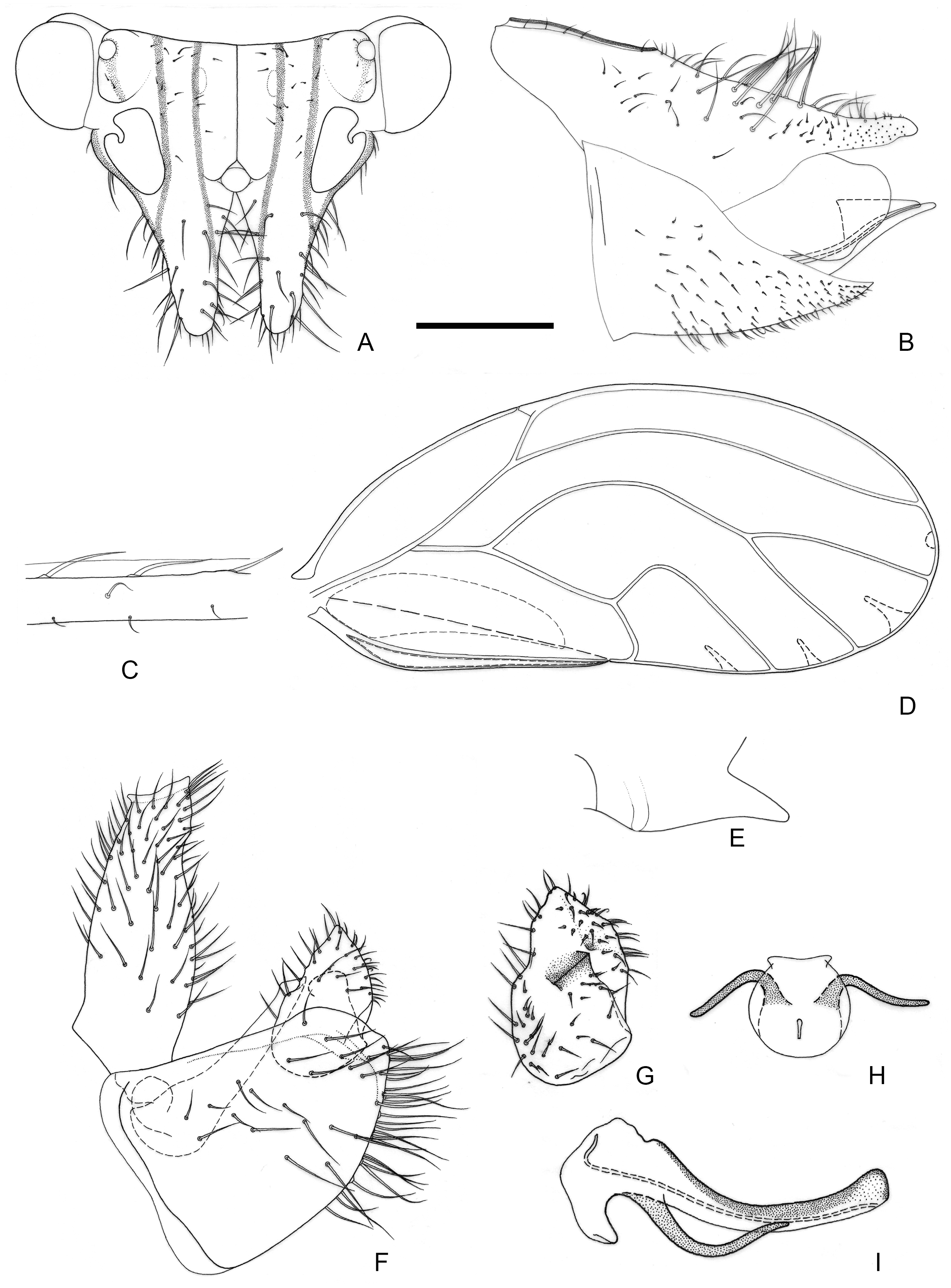 Insects 16 00099 g009